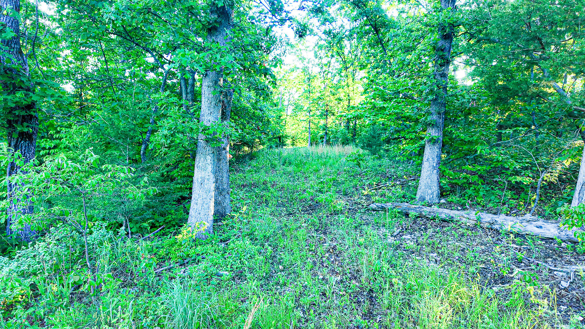 Tbd Sandy Road Property Photo 34