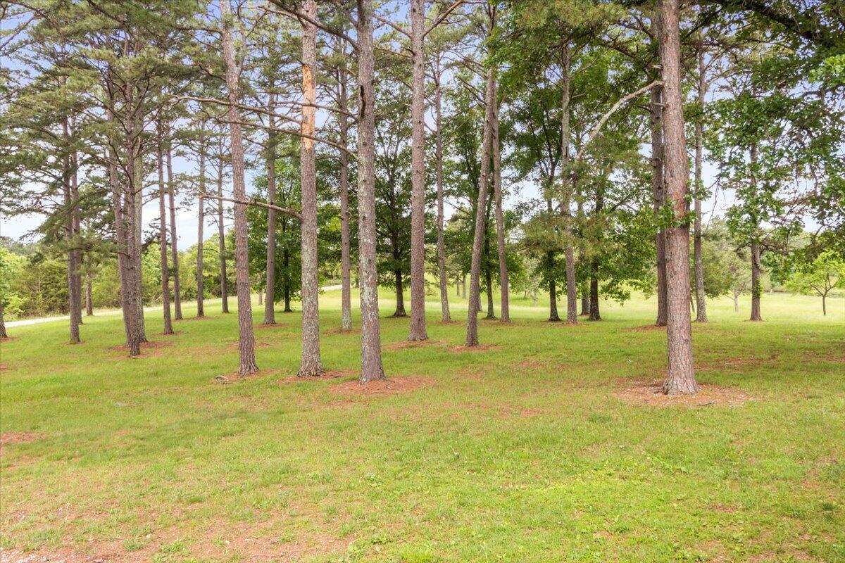 5000 County Road 5610 Property Photo 32