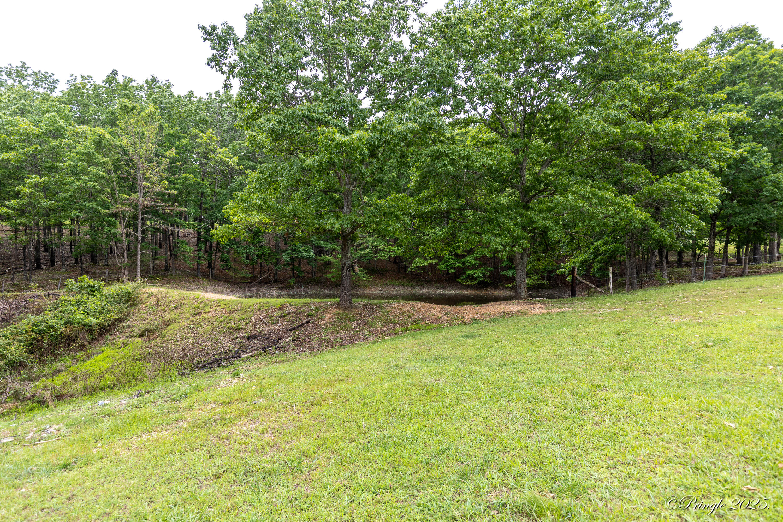 1315 County Road 1290 Property Photo 31