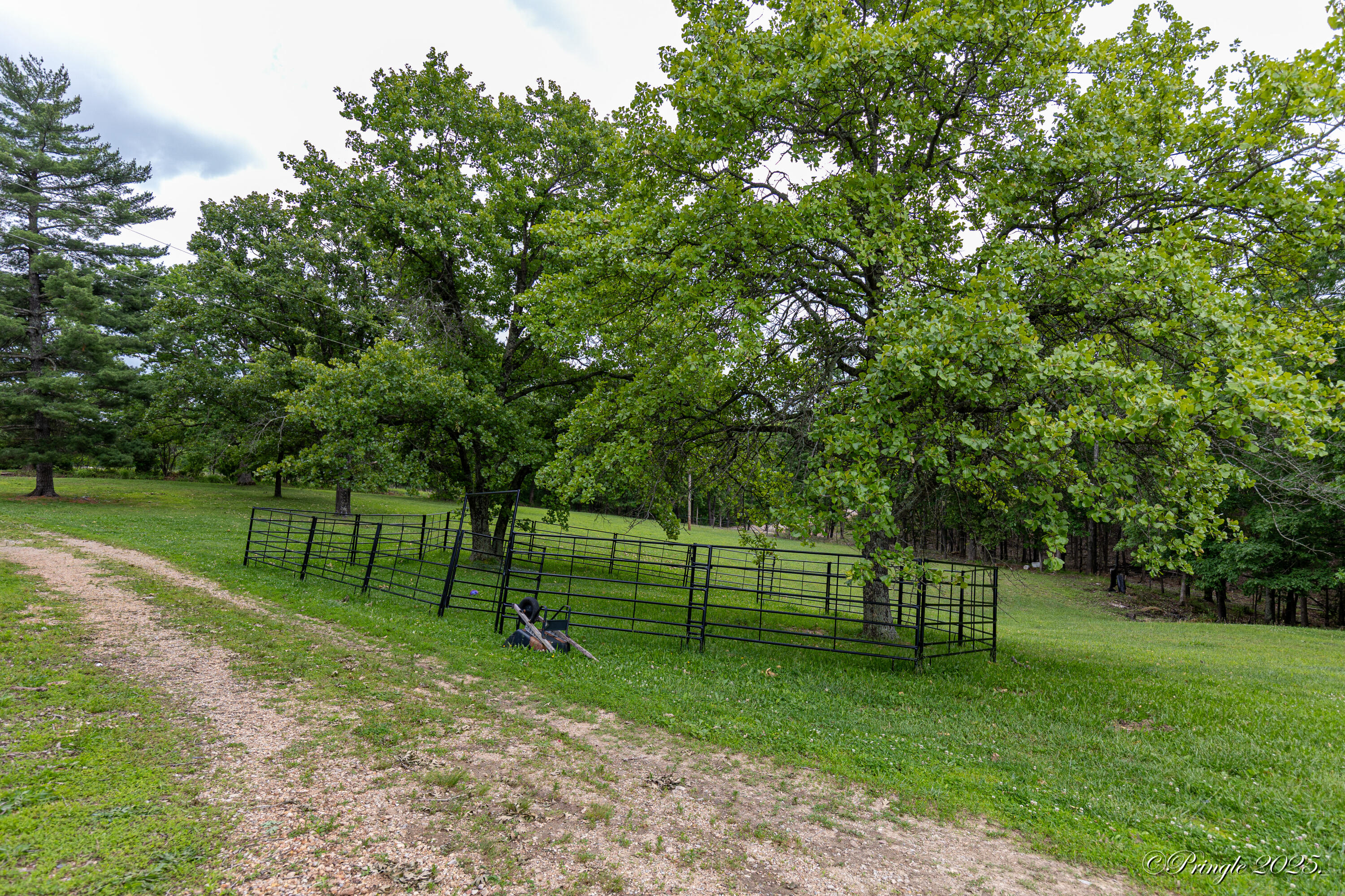 1315 County Road 1290 Property Photo 33