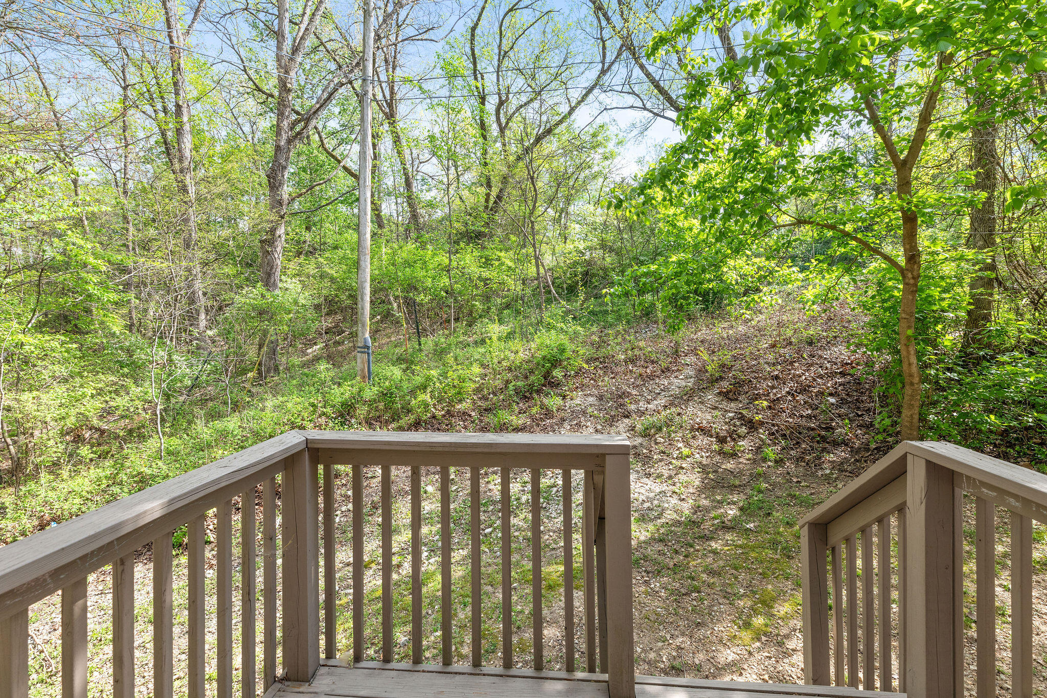 1297 Hillcrest Place Property Photo 14