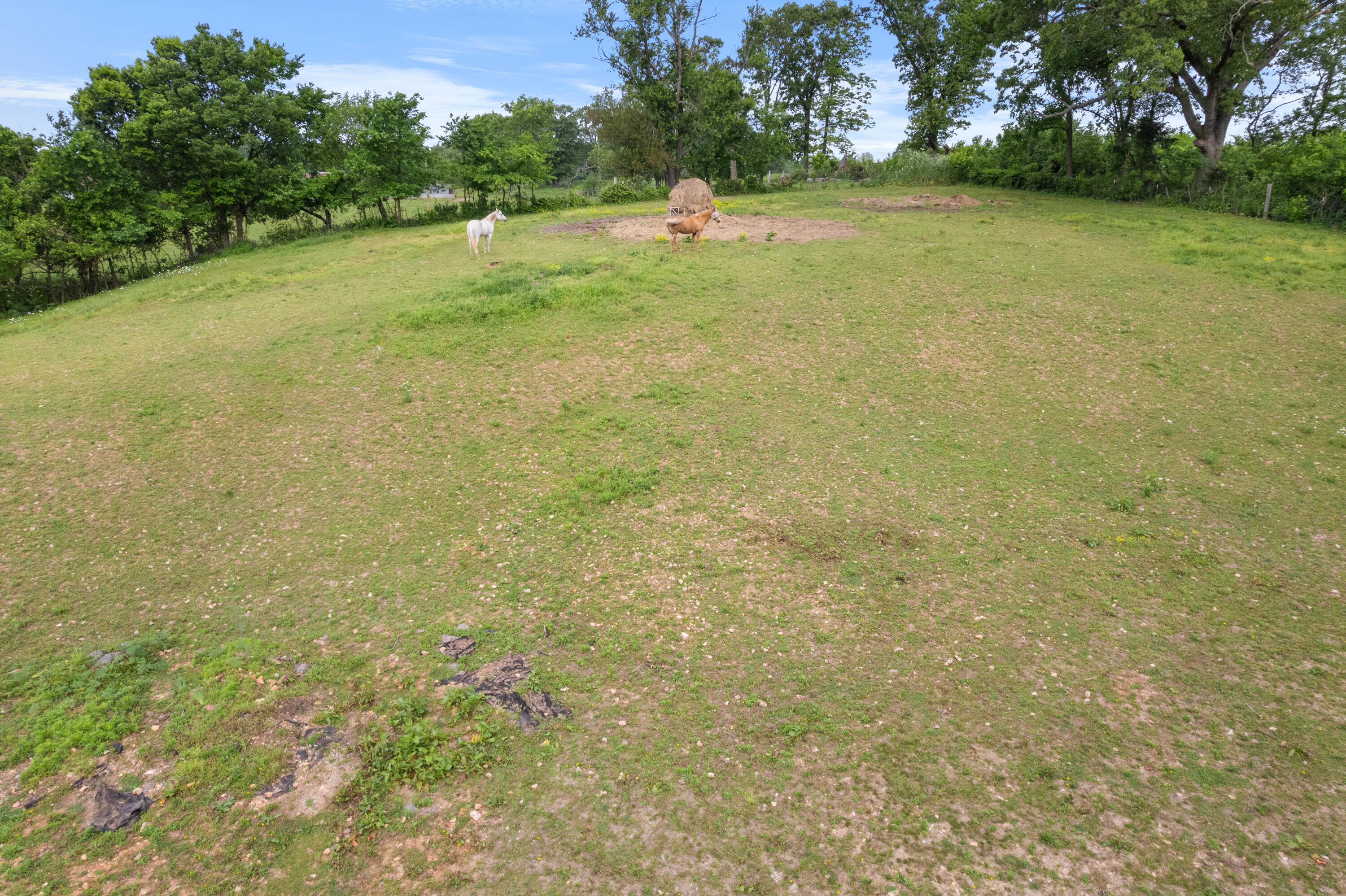 36205 State Highway 413 Property Photo 58