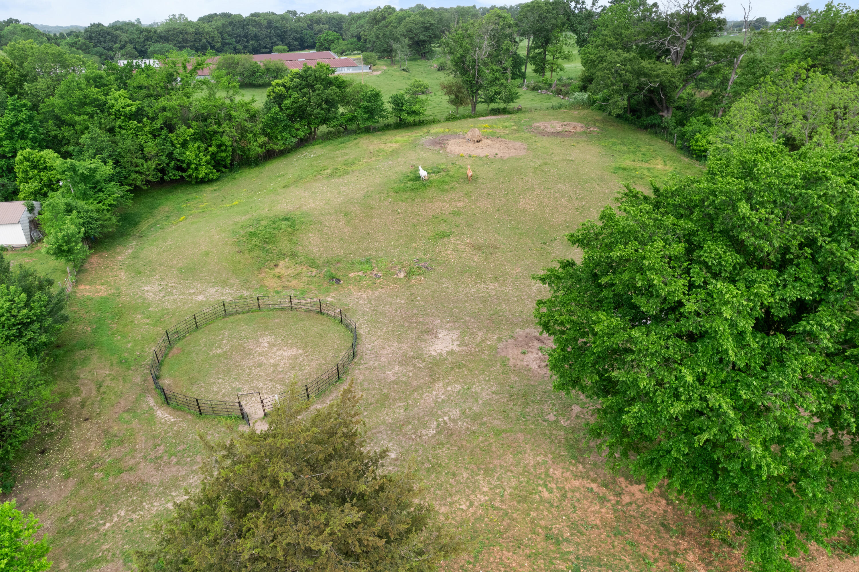 36205 State Highway 413 Property Photo 65