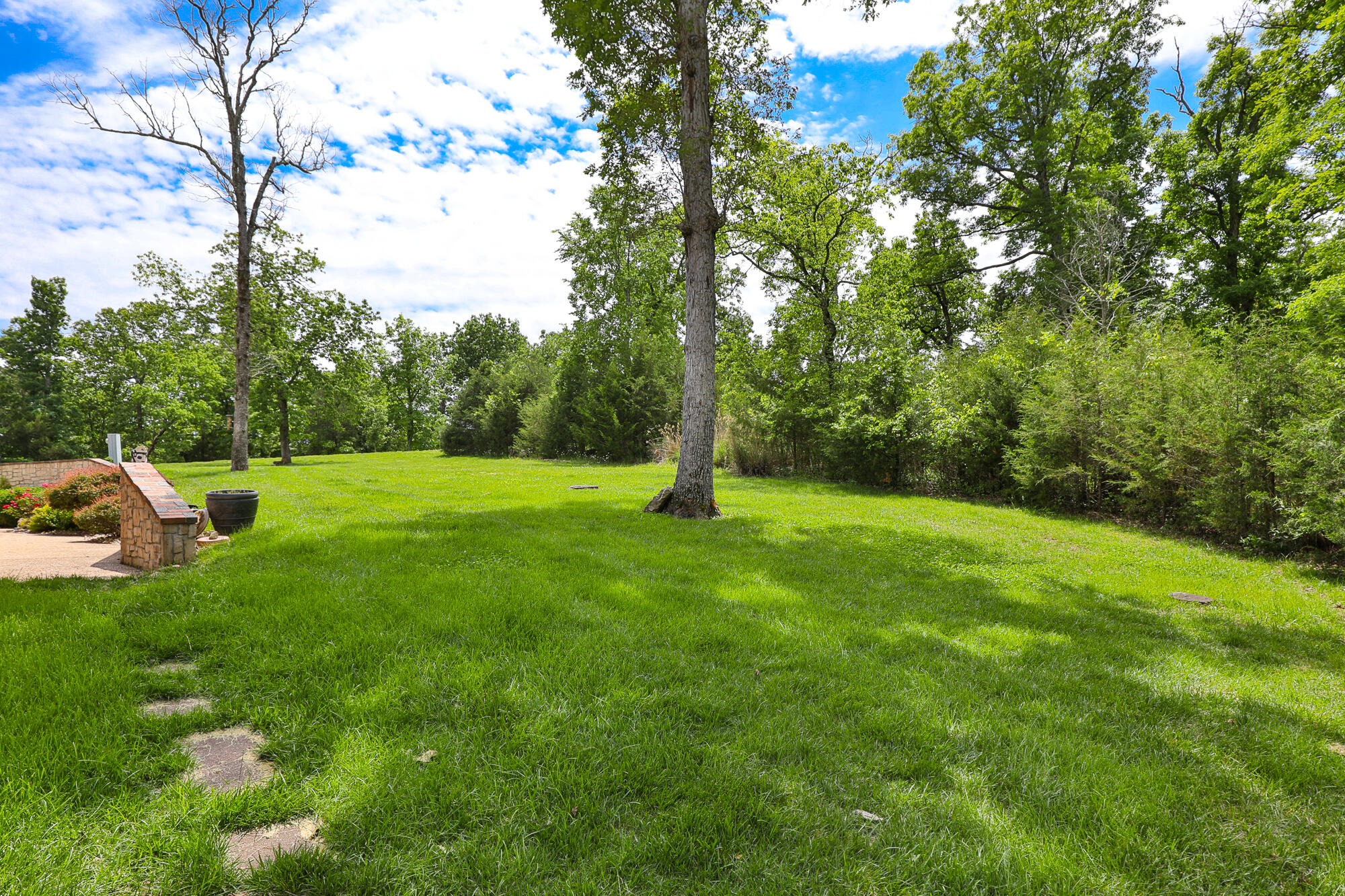 184 Appaloosa Trail Property Photo 66