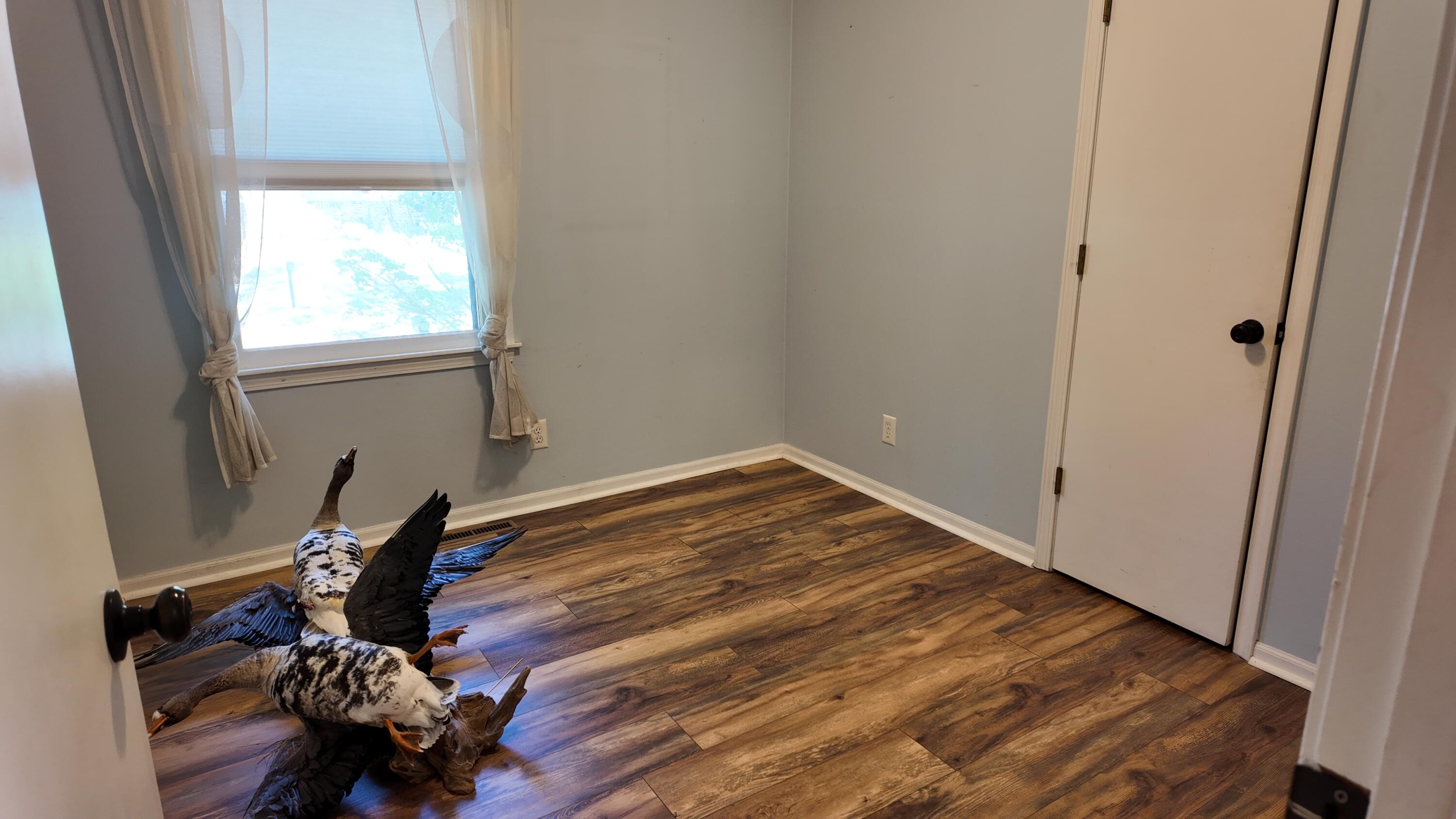 606 W Clover Drive Property Photo 32