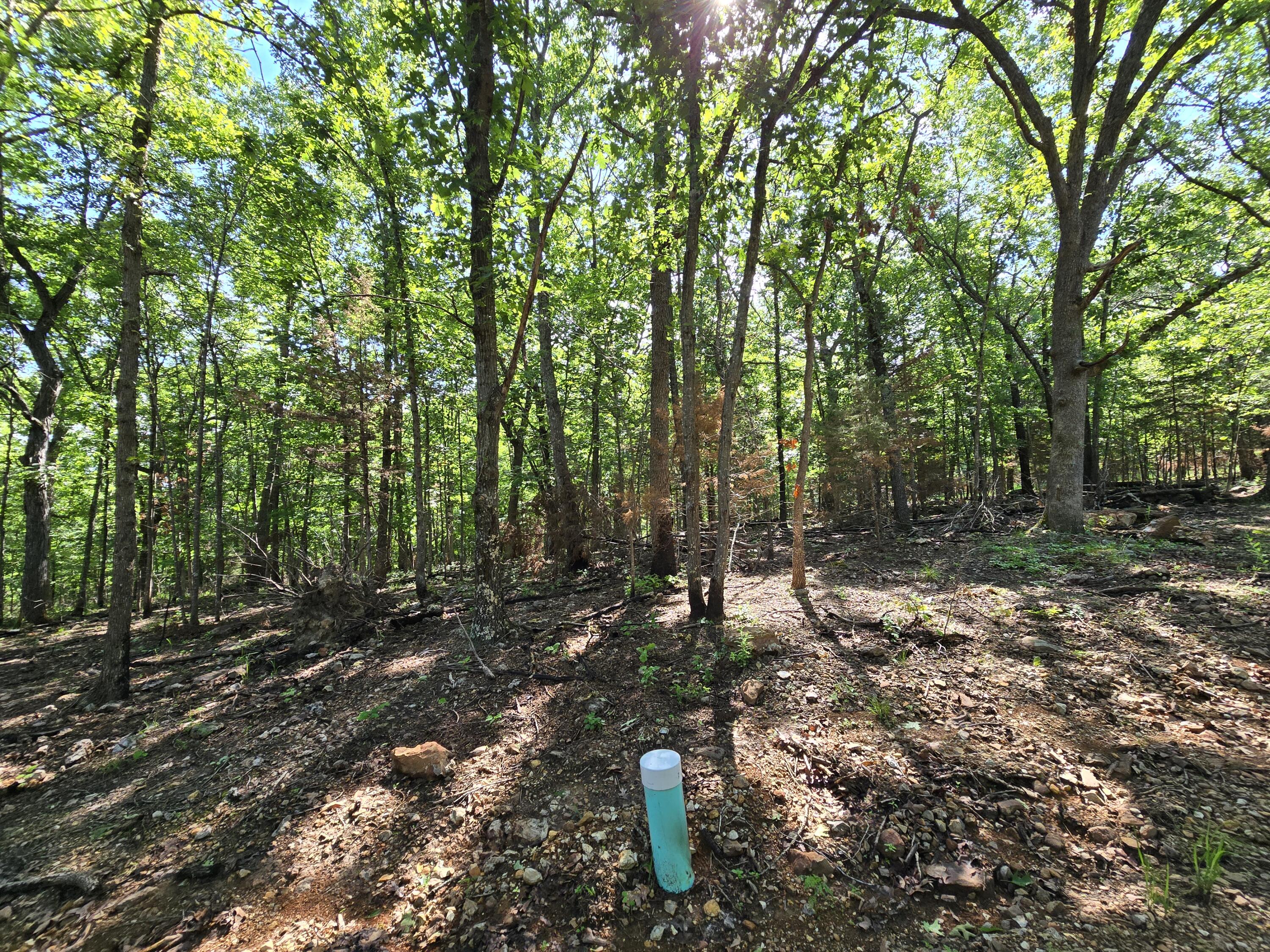 Lot 6 Block 12 Tall Oaks Property Photo 1
