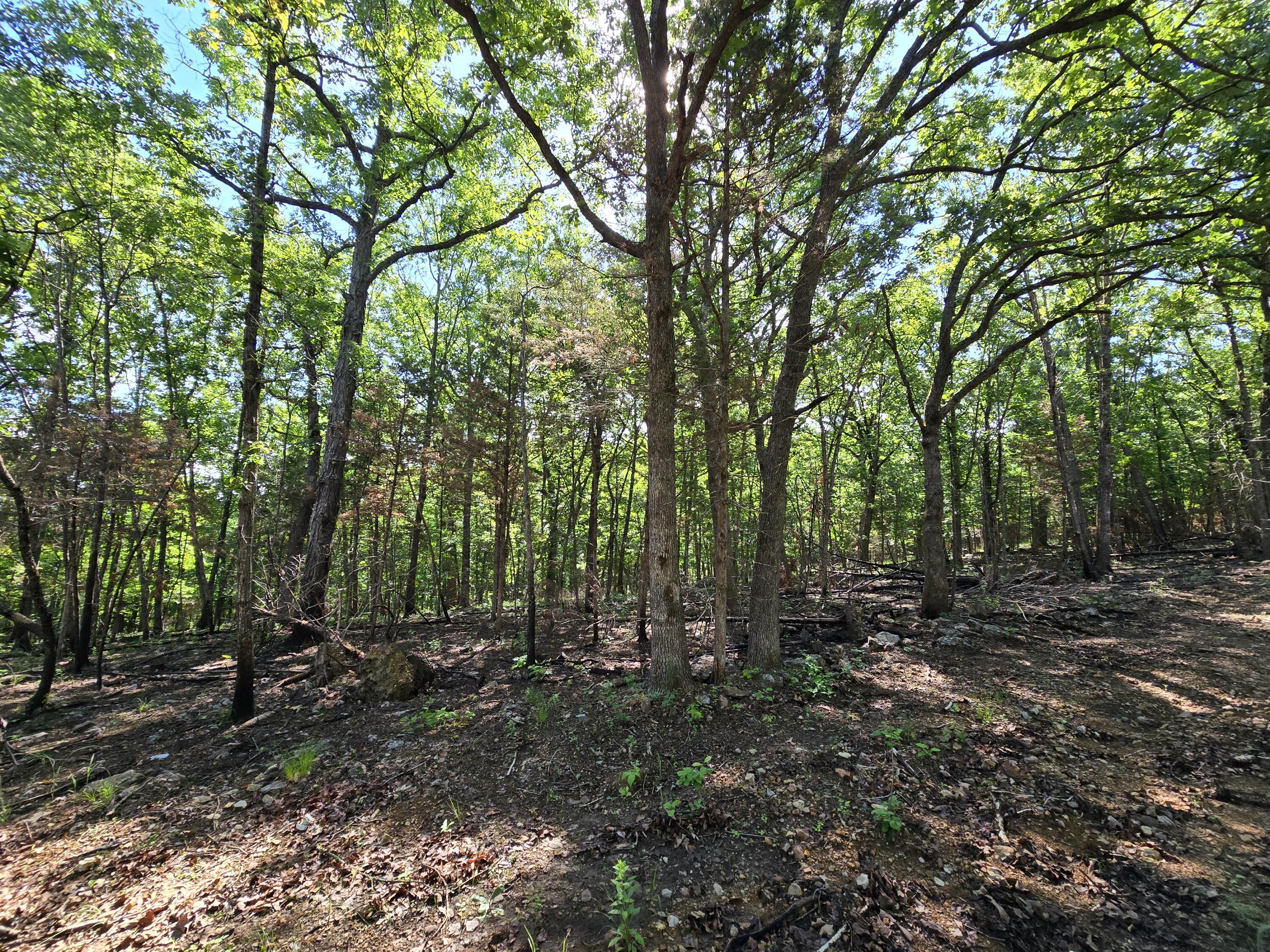 Lot 6 Block 12 Tall Oaks Property Photo 2