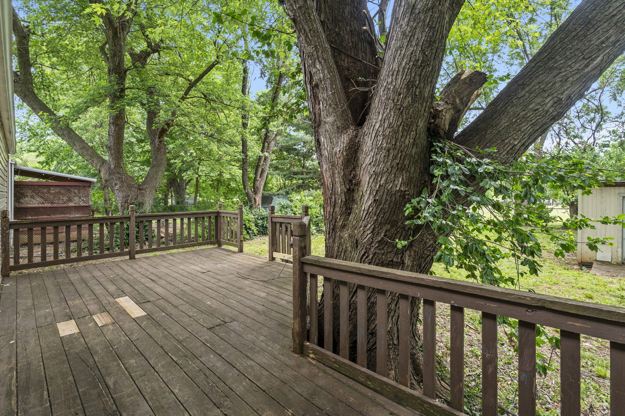 518 West Catalpa Street Property Photo 19