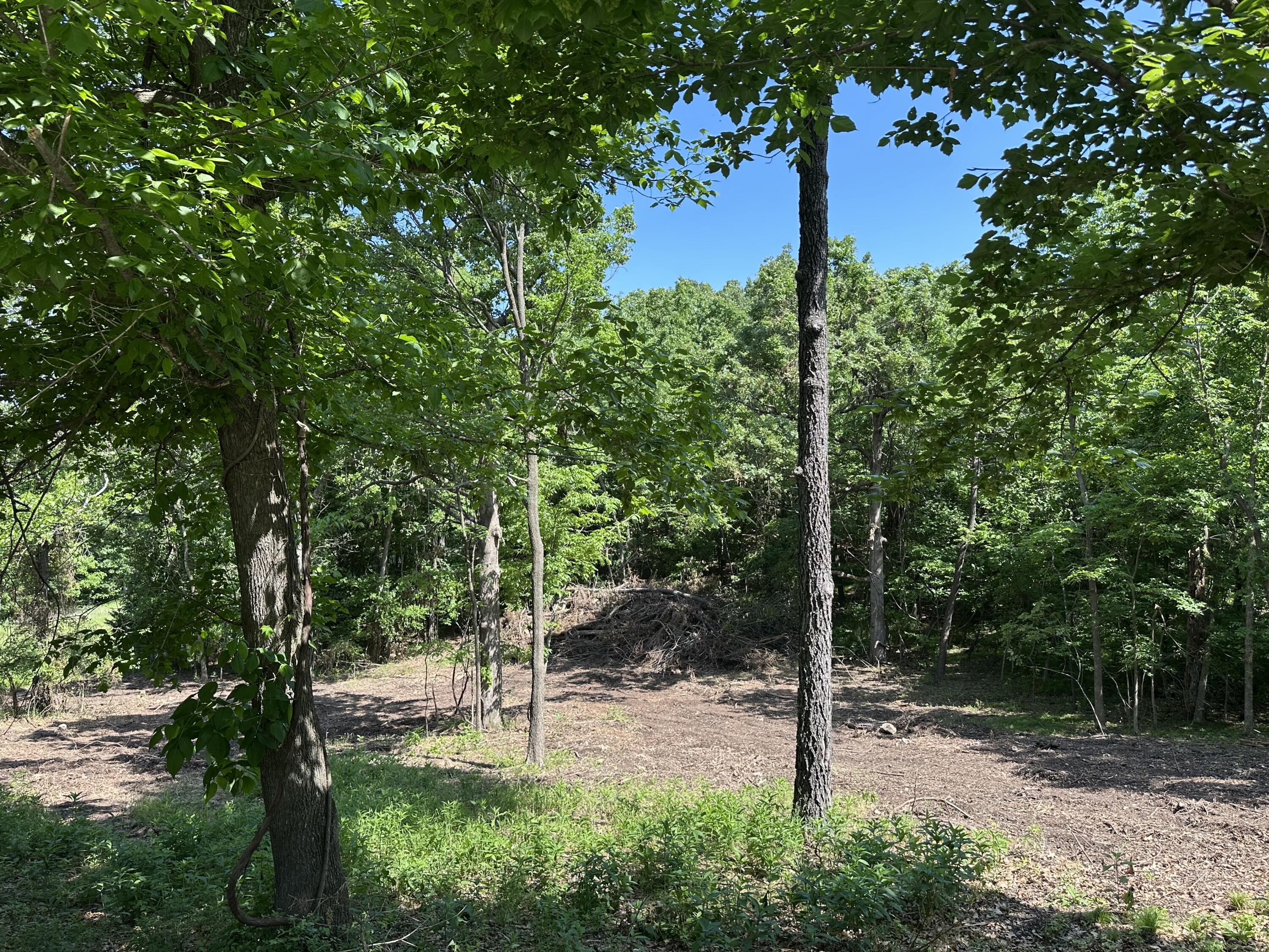 Lot 30 Shoal Creek Estates Property Photo 2