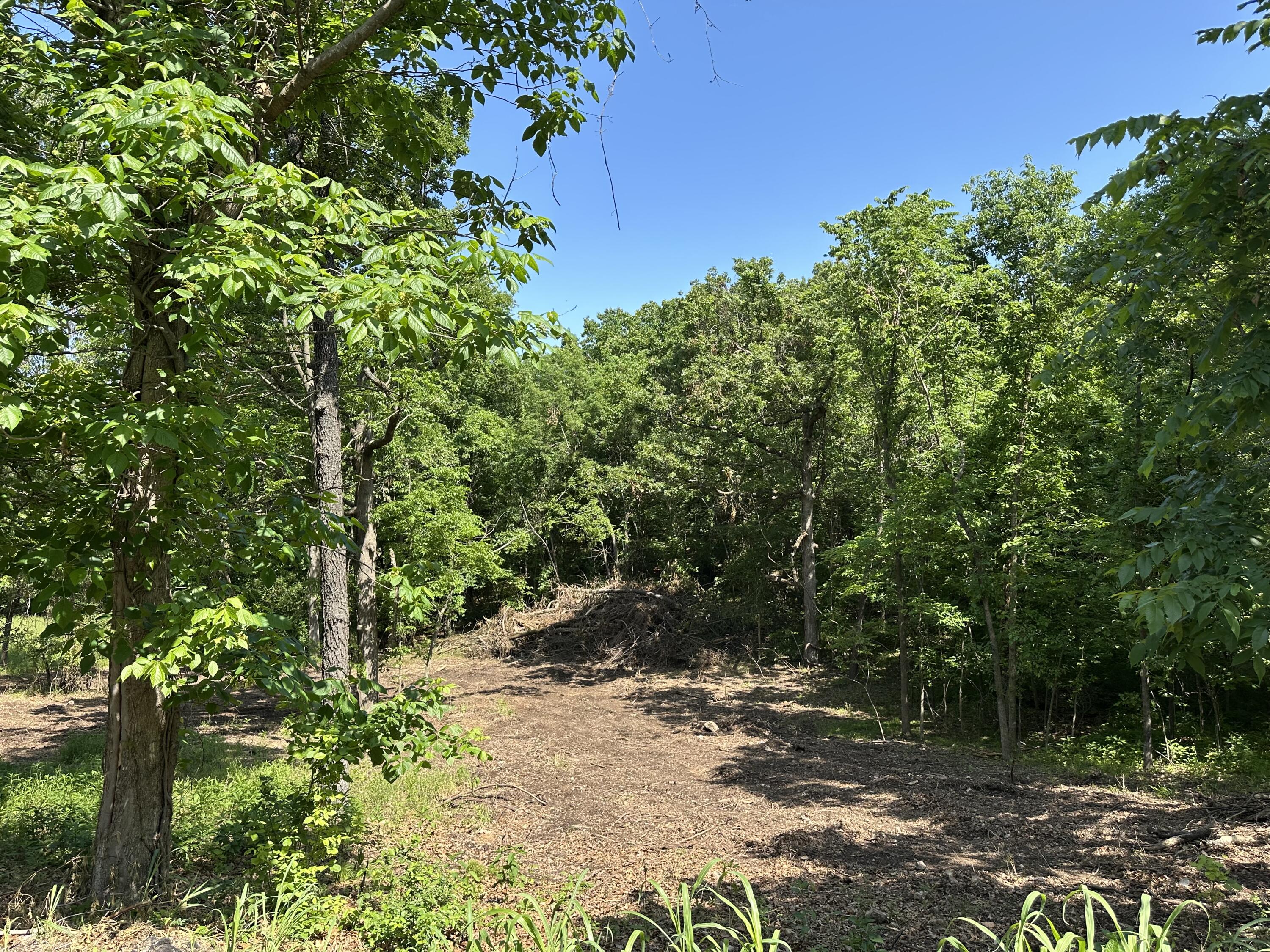 Lot 30 Shoal Creek Estates Property Photo 3