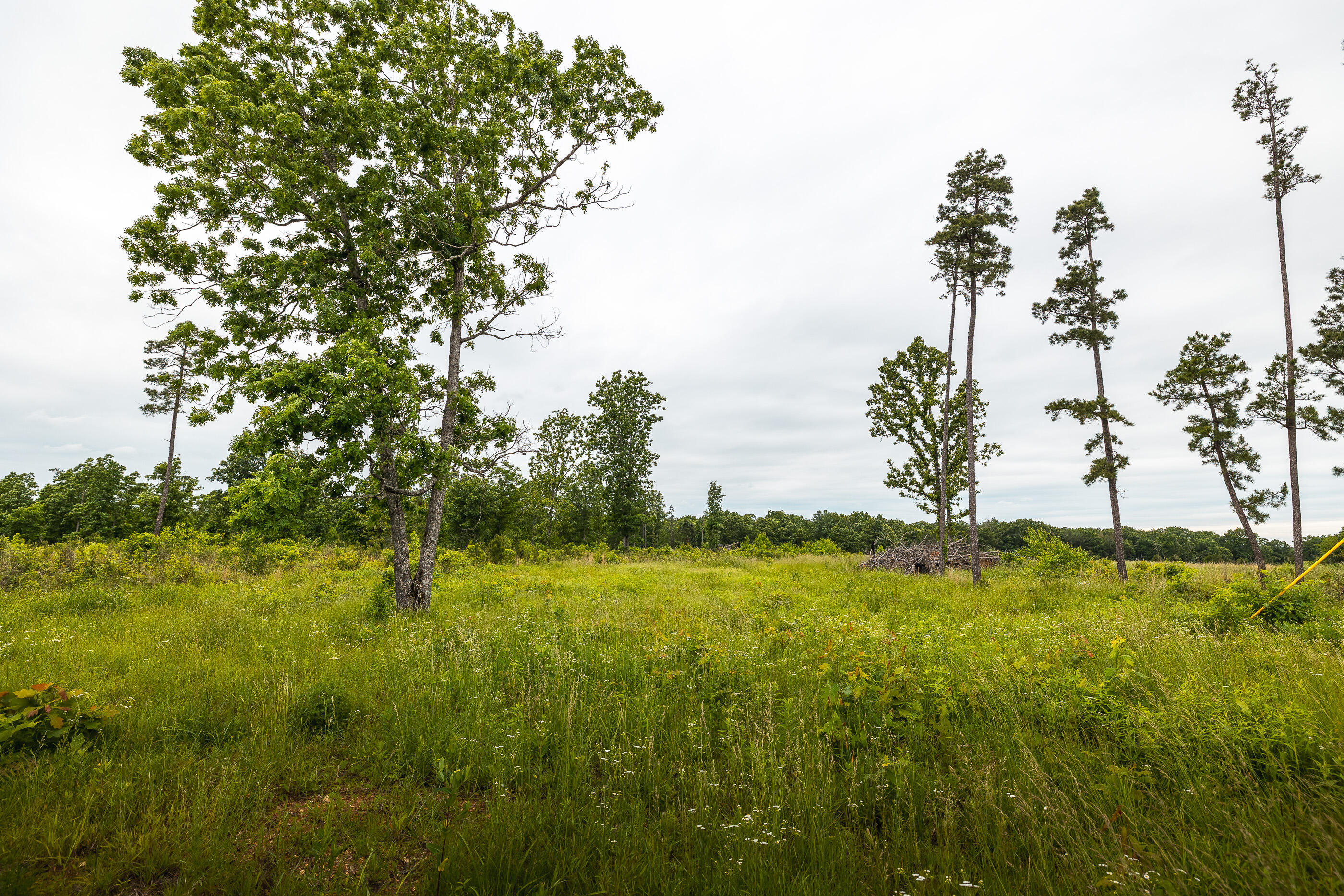 7195 Highway Kk Property Photo 20