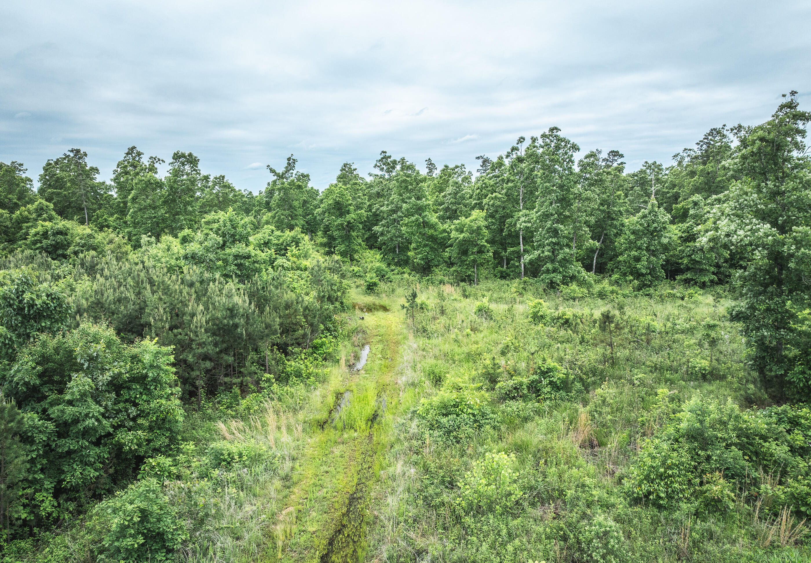 7195 Highway Kk Property Photo 28