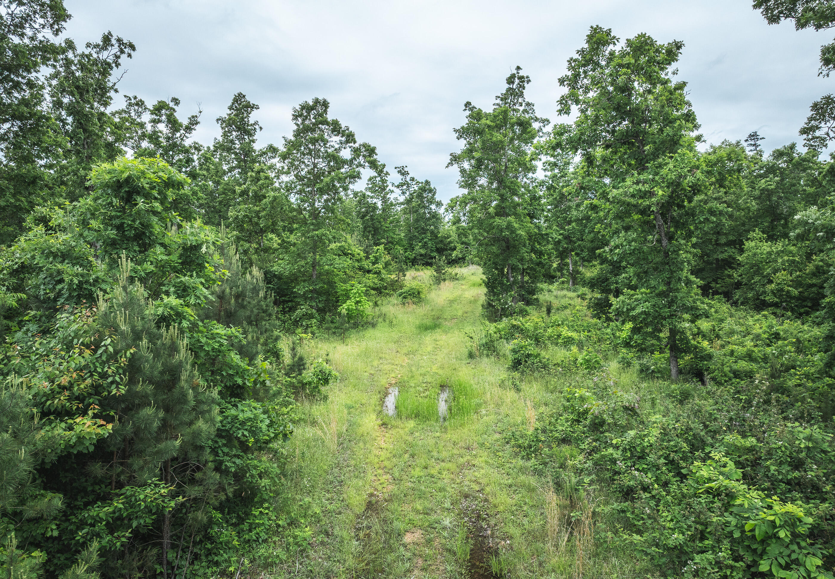 7195 Highway Kk Property Photo 29
