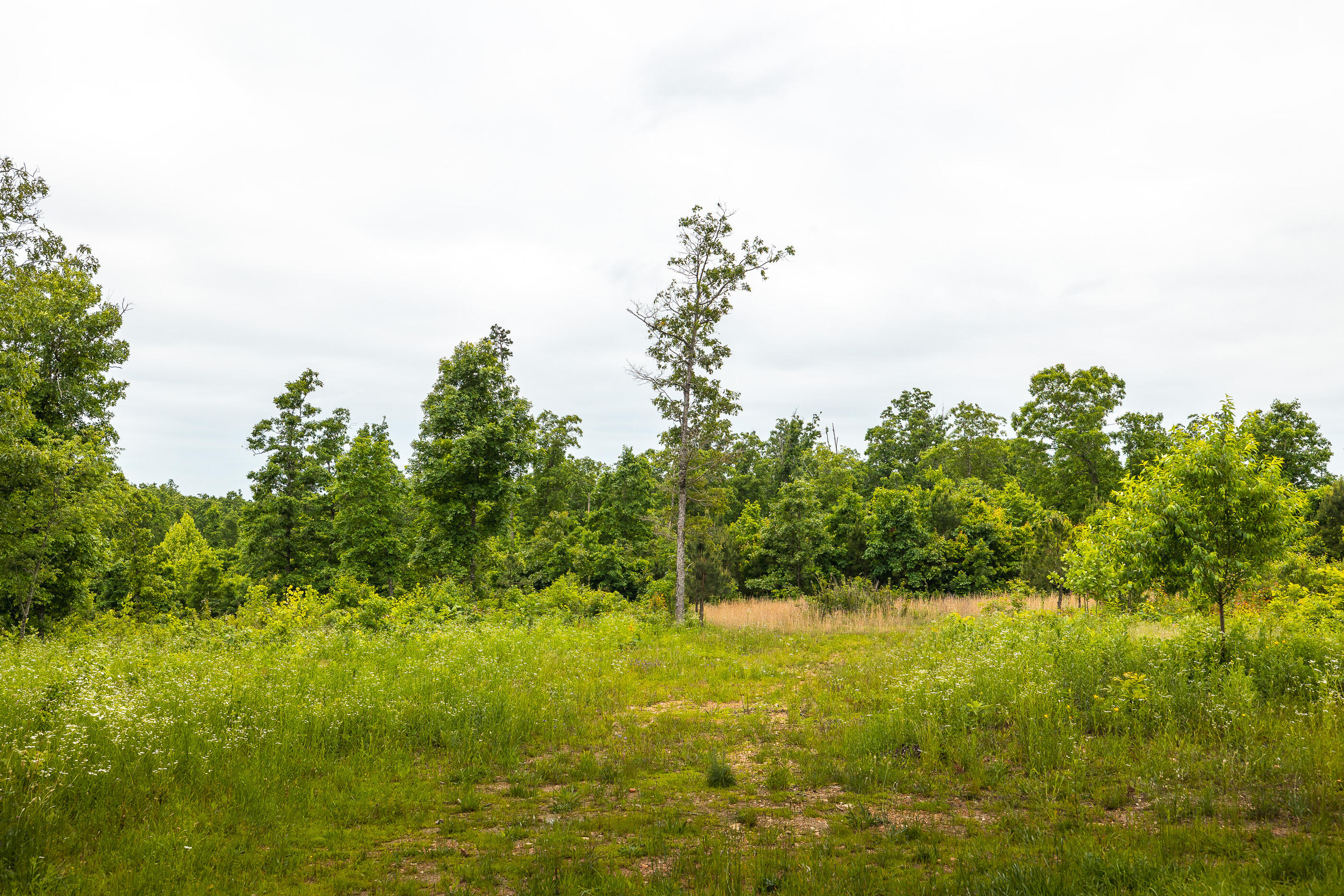 7195 Highway Kk Property Photo 33