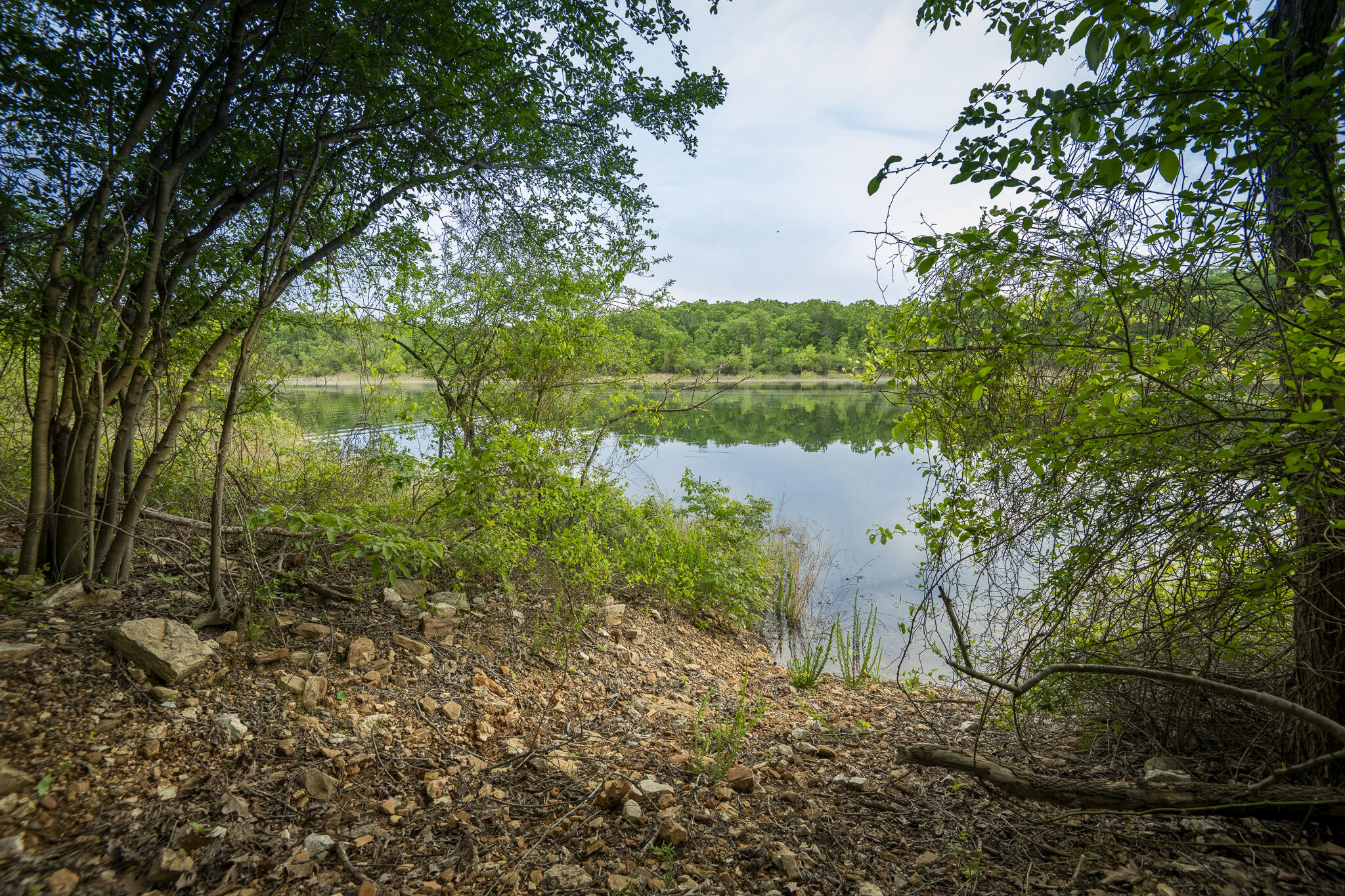 651 Round Robin Lane Property Photo 4