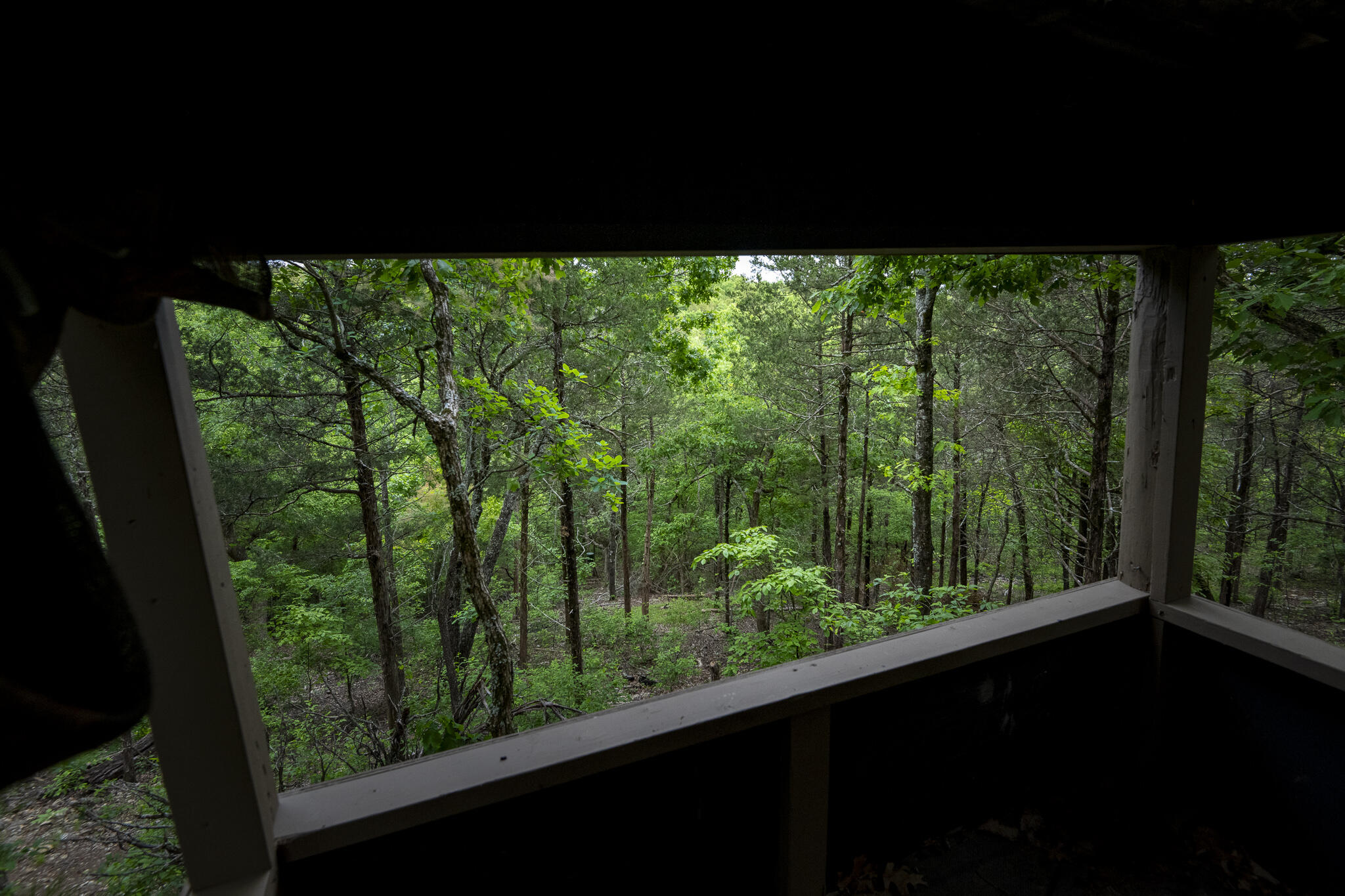 651 Round Robin Lane Property Photo 50