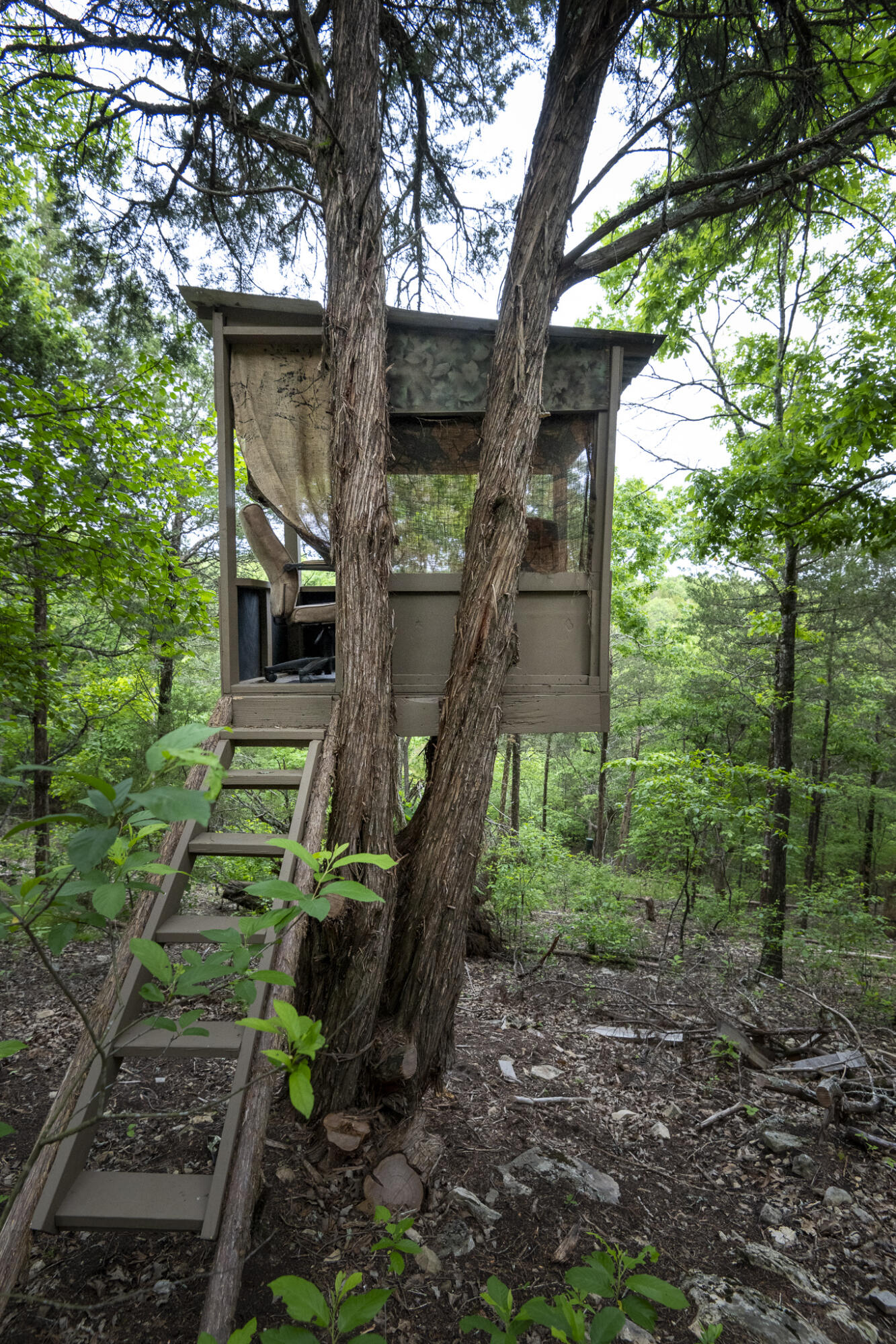 651 Round Robin Lane Property Photo 102