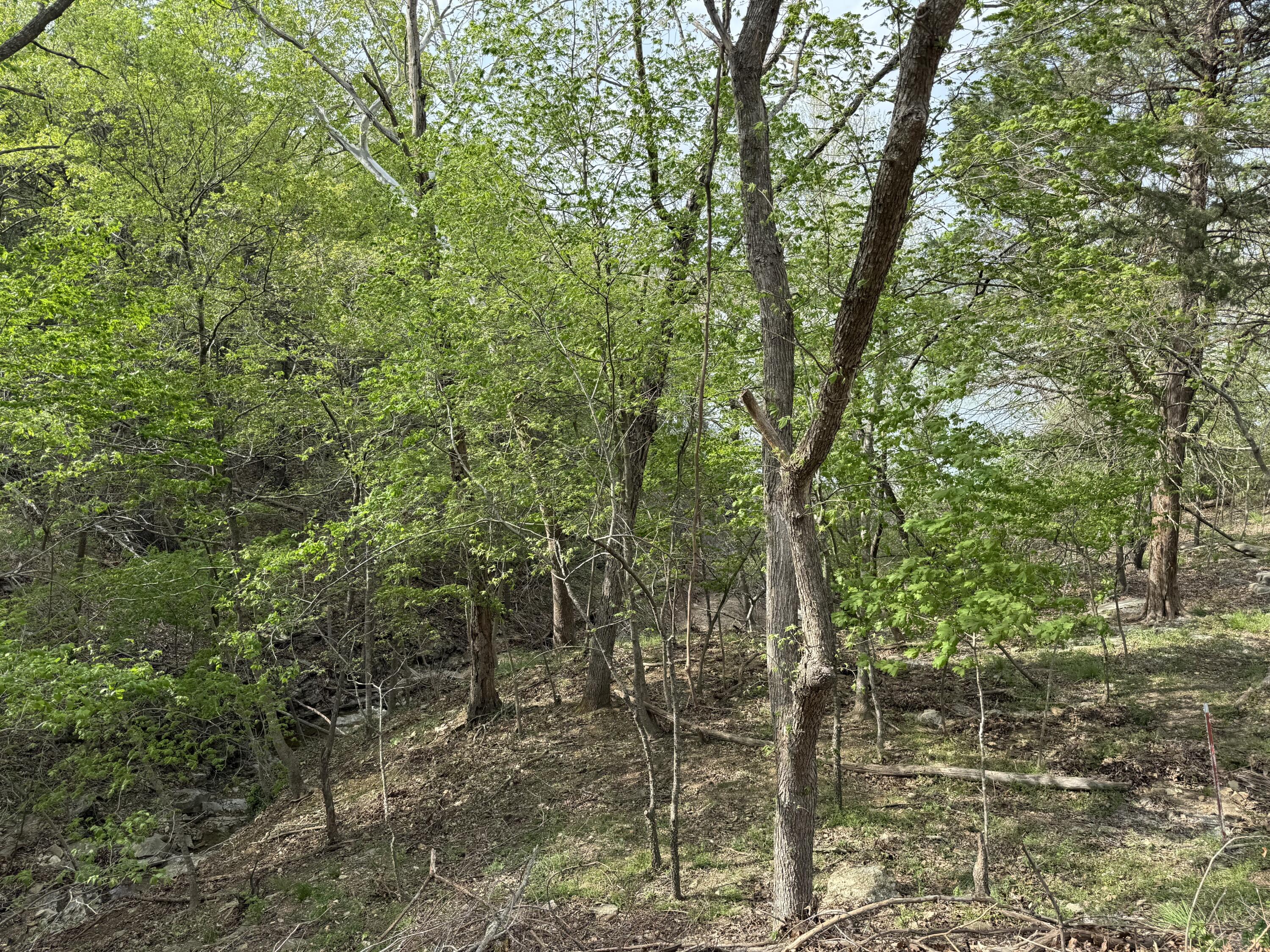 000 Rocky Top Rd Property Photo 1
