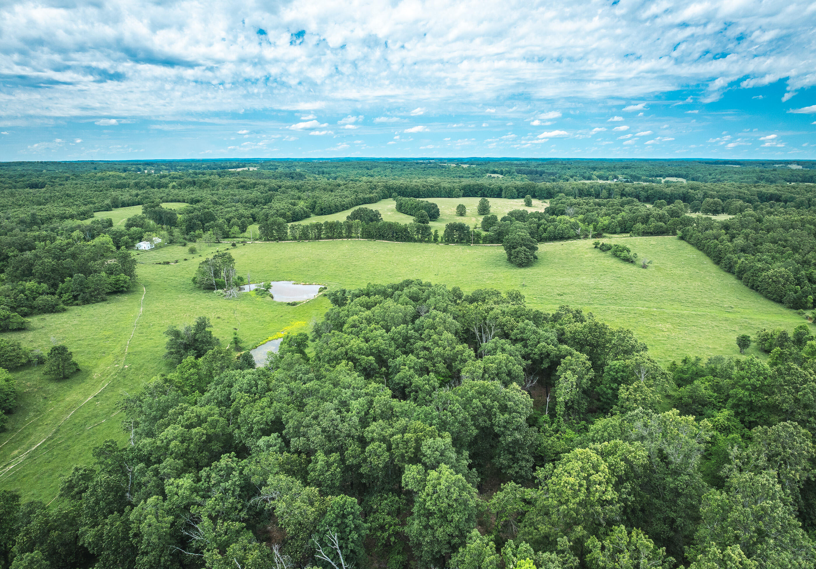 9815 County Road 2780 Property Photo 45