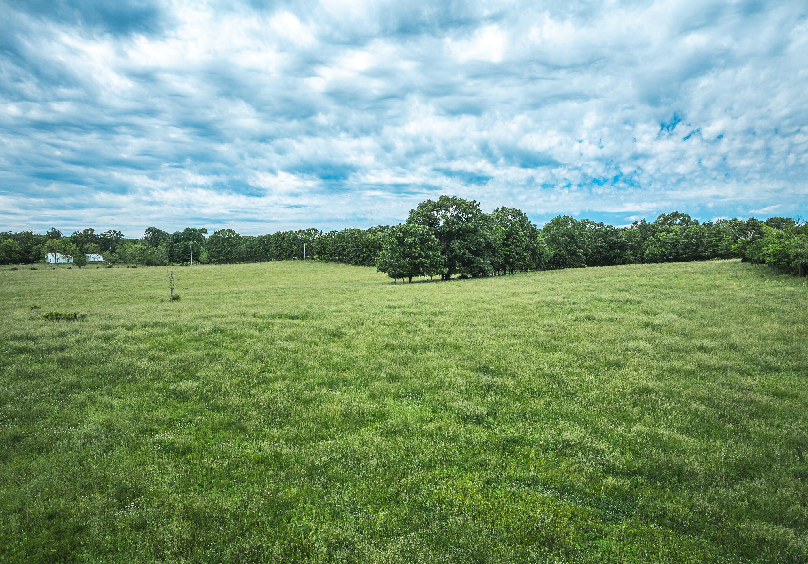 9815 County Road 2780 Property Photo 49