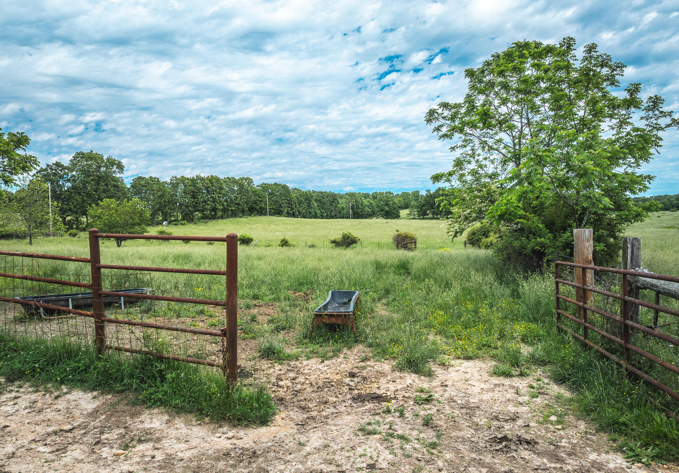 9815 County Road 2780 Property Photo 52