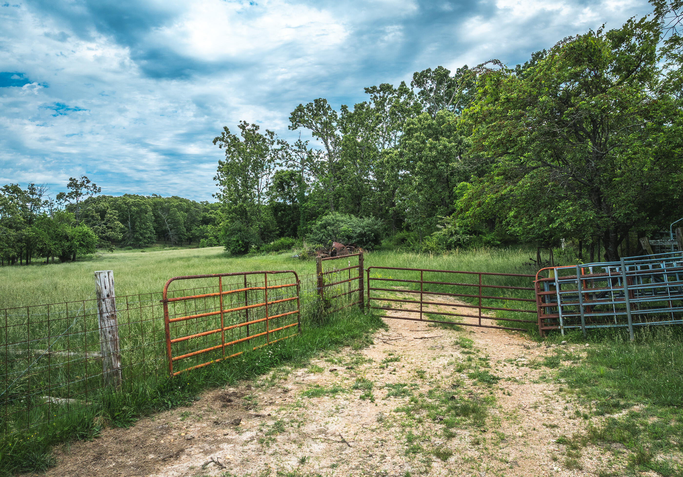 9815 County Road 2780 Property Photo 53