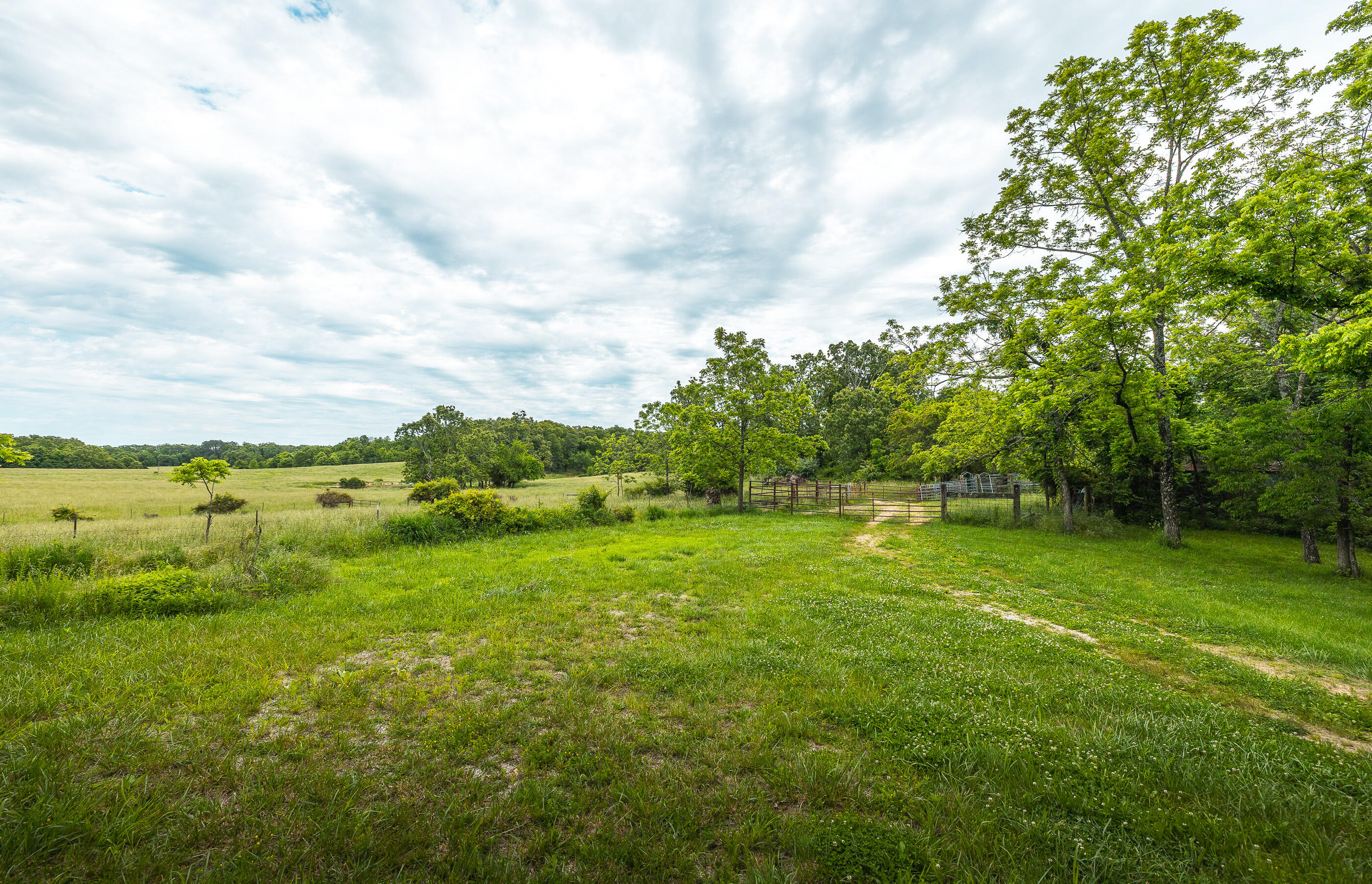 9815 County Road 2780 Property Photo 54