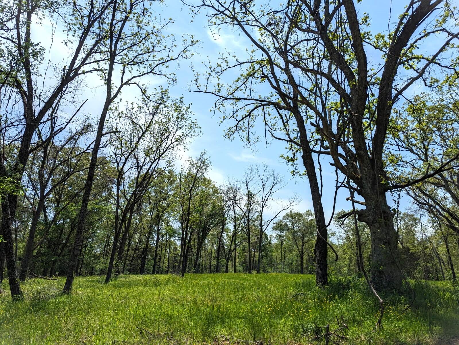 000 State Highway 248 Property Photo 1