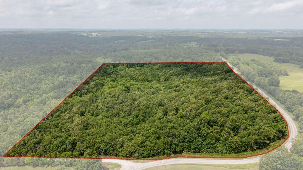 Tbd State Highway E Property Photo 1