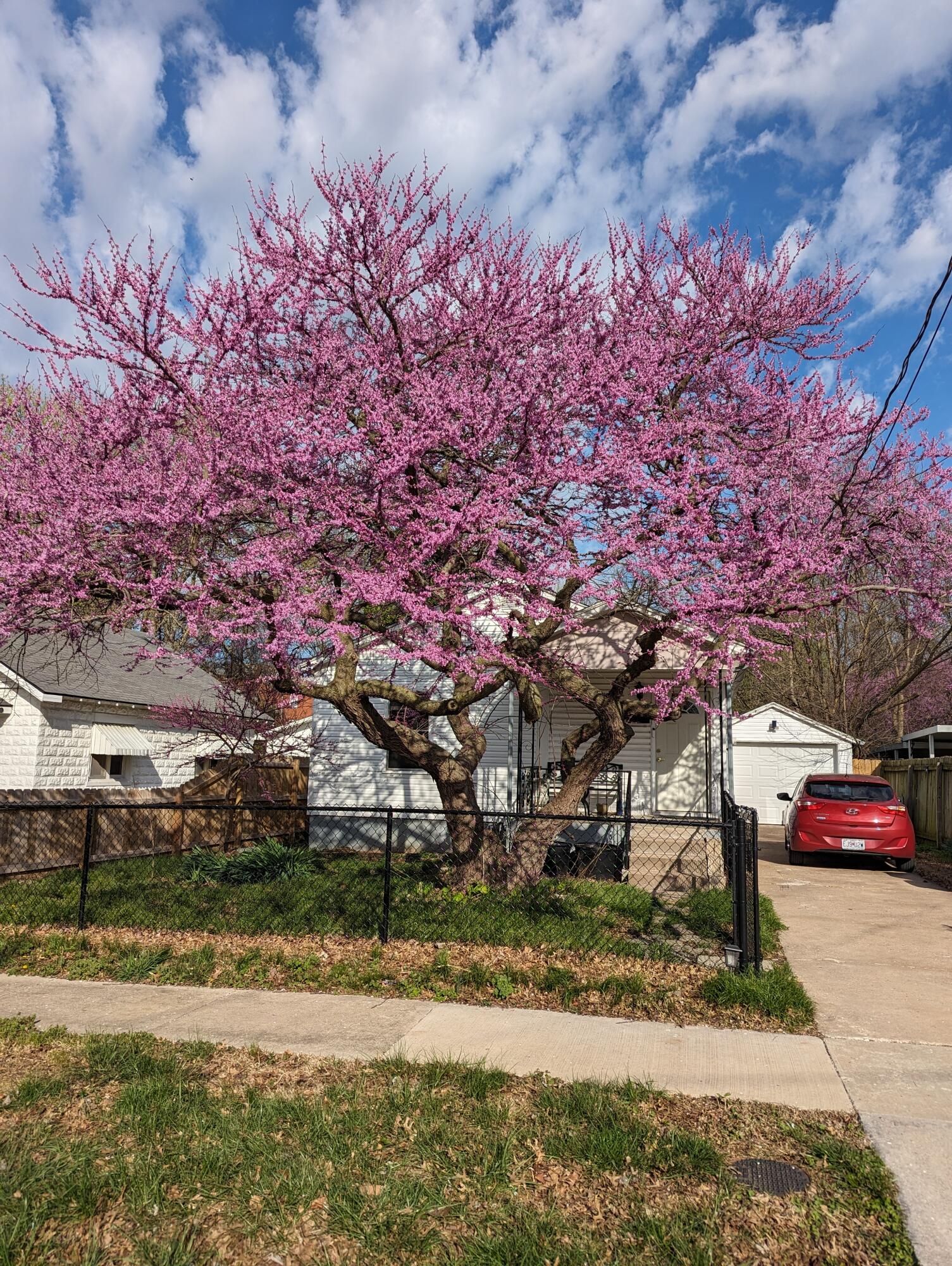 2212 North Kellett Avenue Property Photo 4