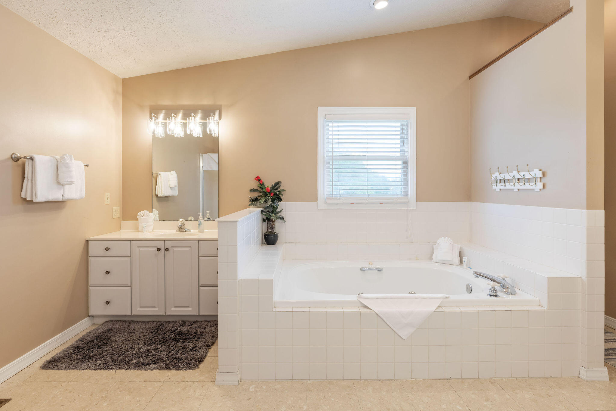 1394 Bee Creek Road Property Photo 18