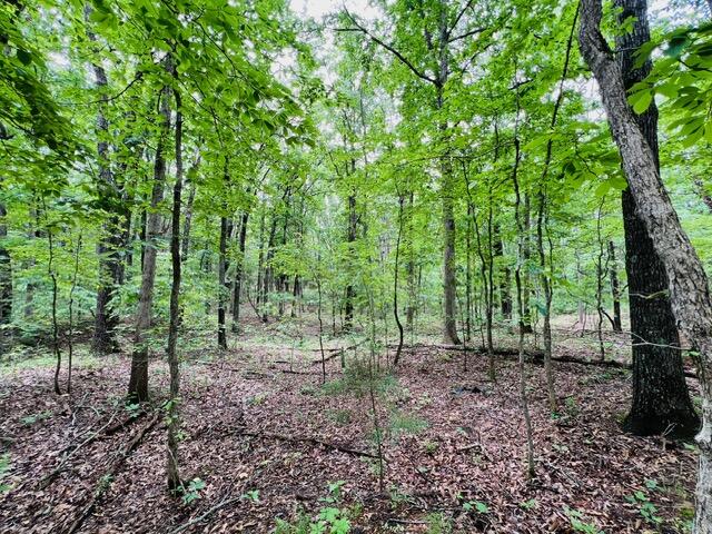 000 Boiling Springs Road Property Photo 1