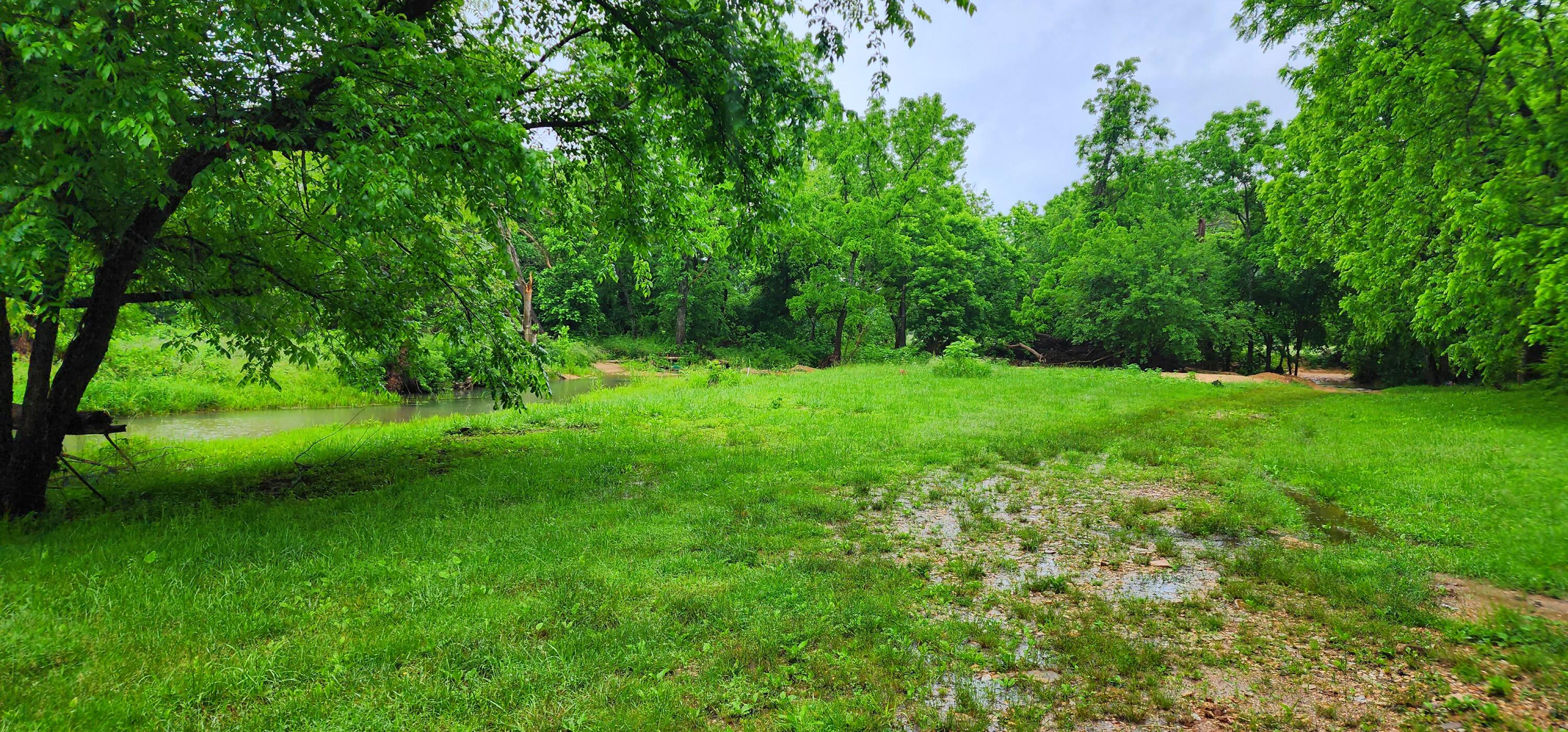 34587 County Road 246 Property Photo 34