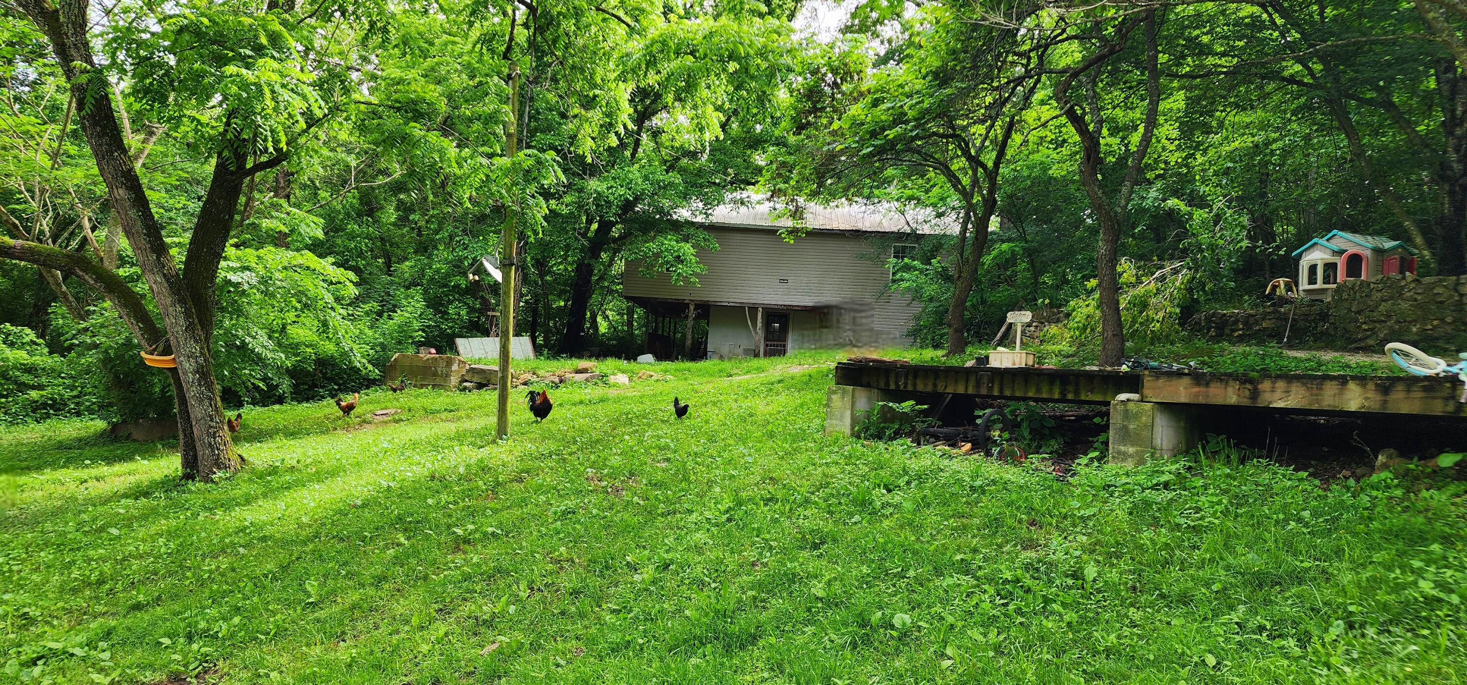 34587 County Road 246 Property Photo 46