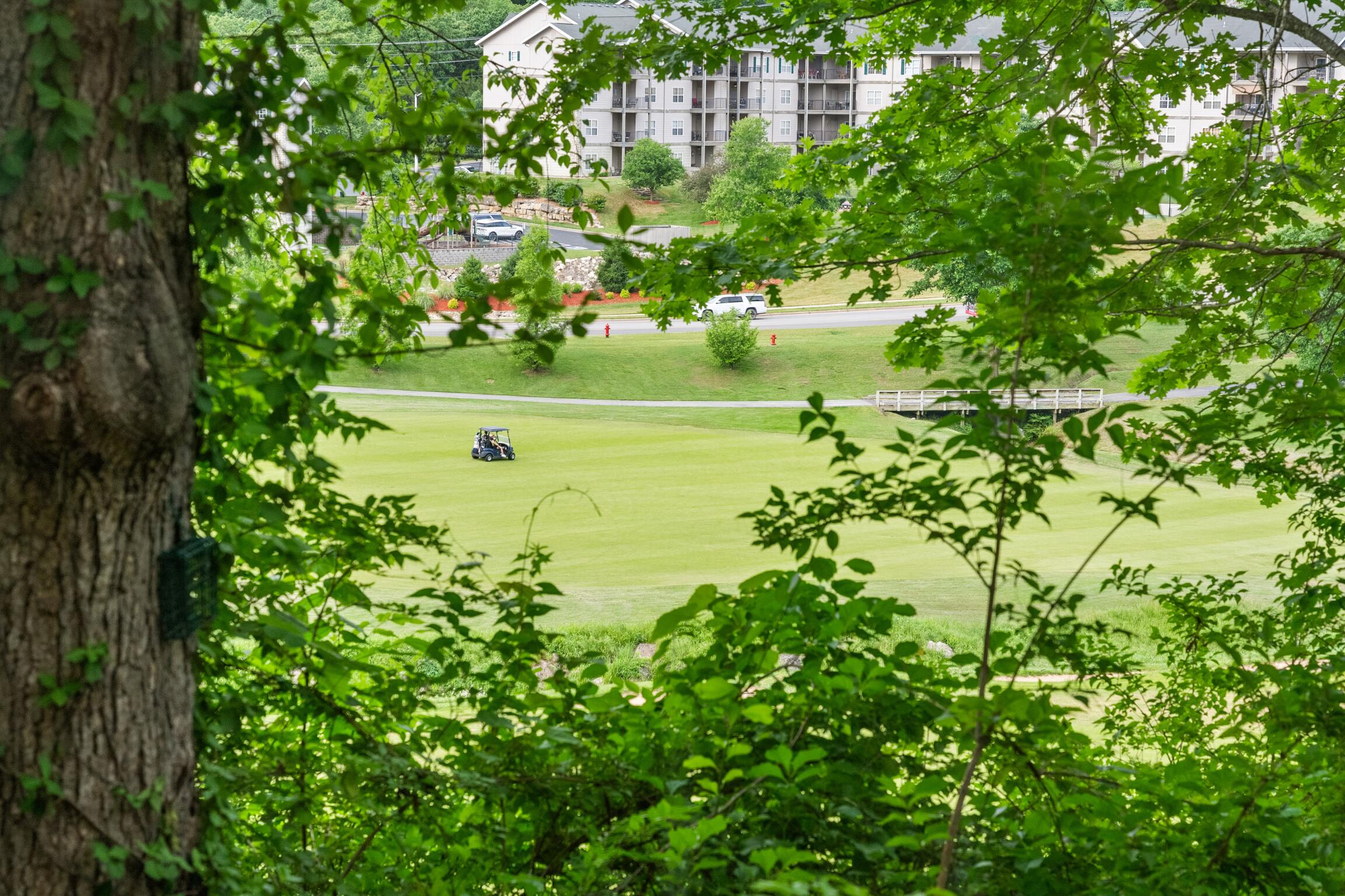 200 Golf View Drive Property Photo 16