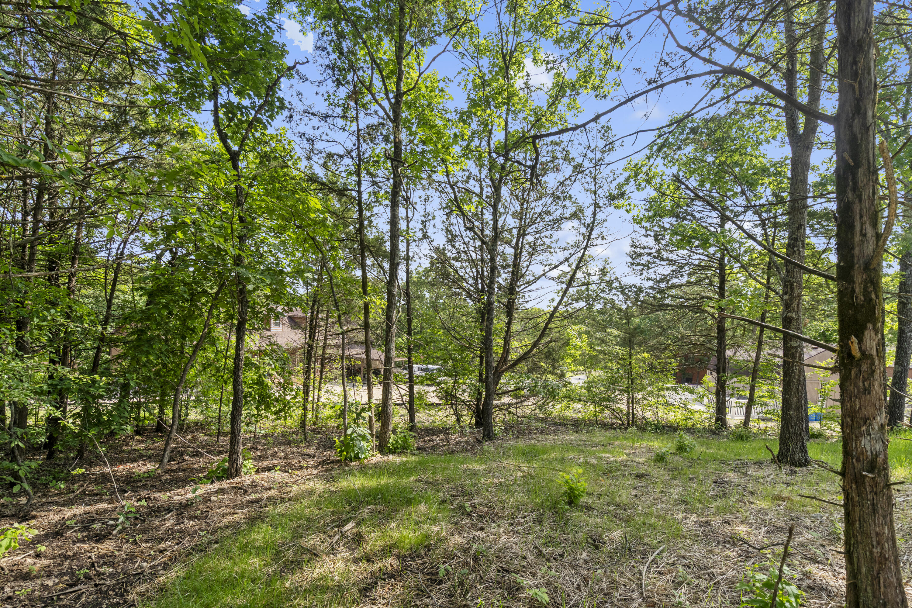 591 Pine Woods Village Drive Property Photo 51