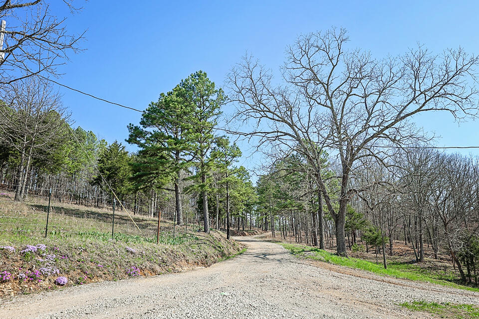 25598 C-228 Tract #1 Property Photo 30