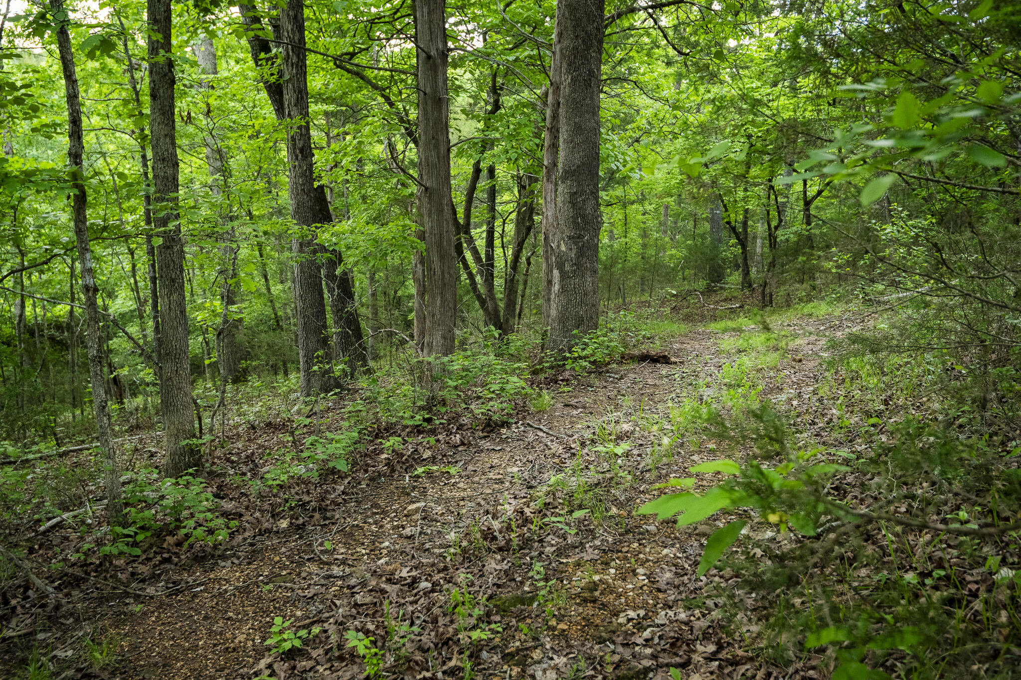 651 / Tbd Round Robin Lane Property Photo 47