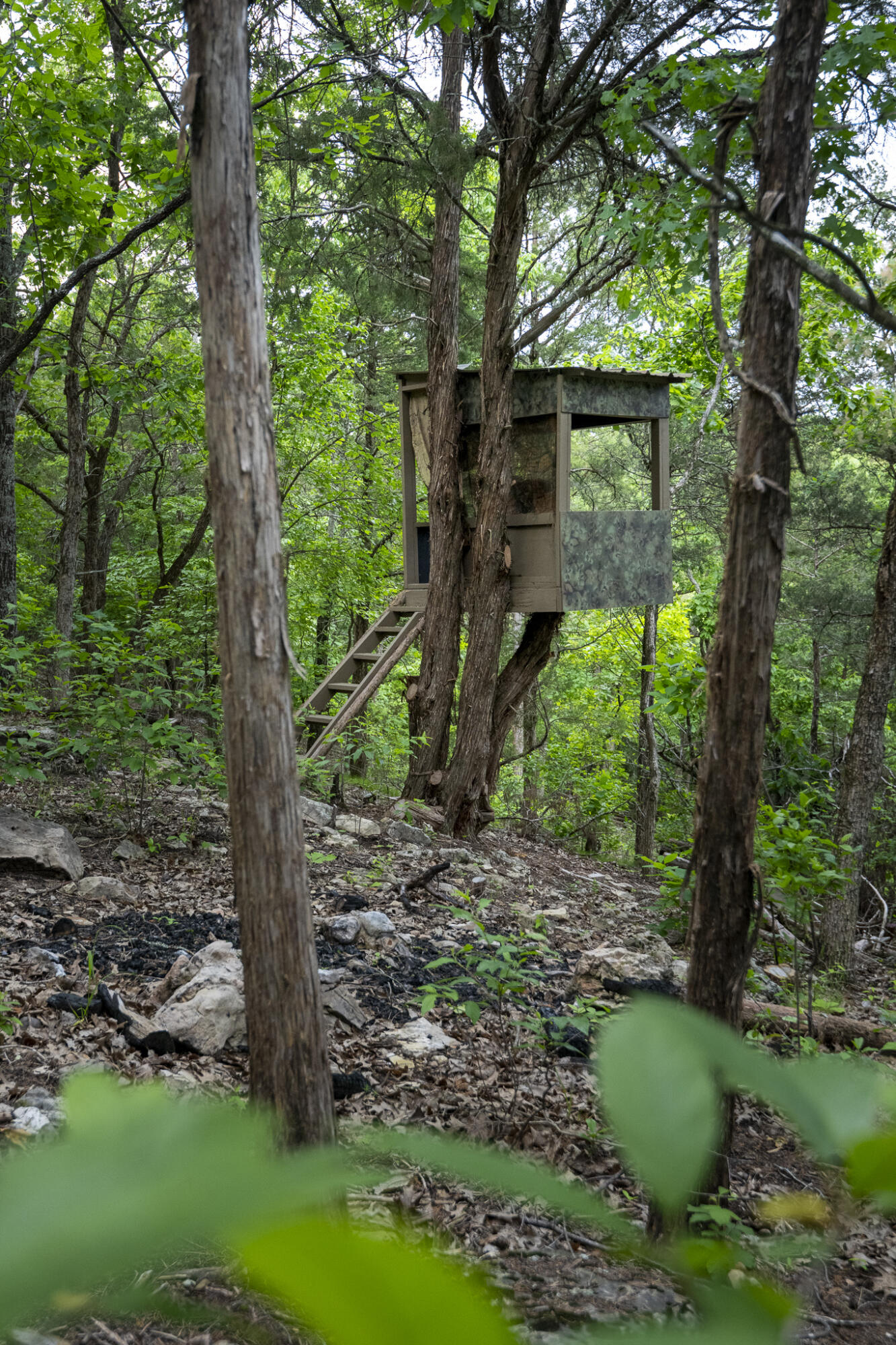 651 / Tbd Round Robin Lane Property Photo 48