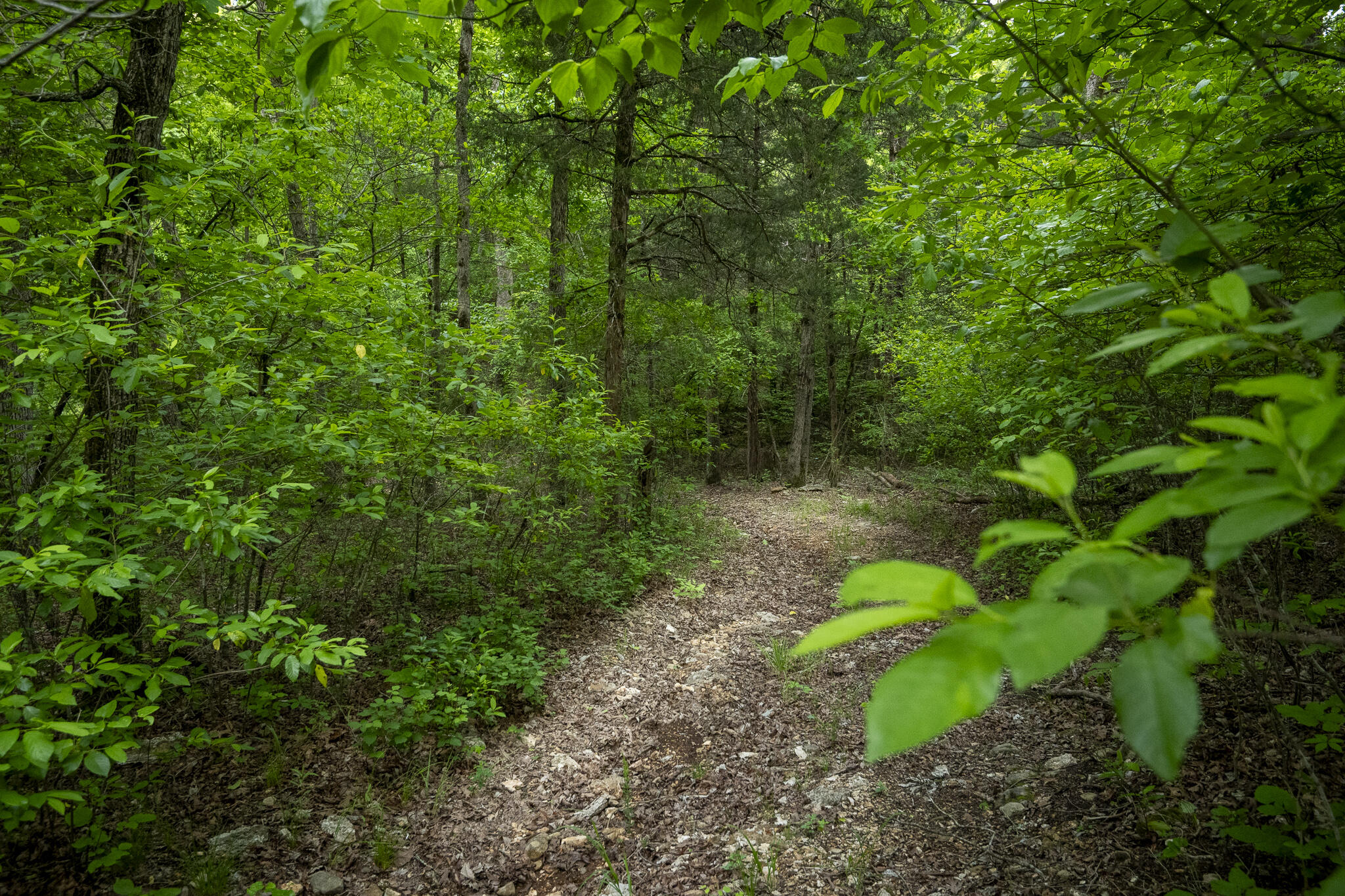651 / Tbd Round Robin Lane Property Photo 88
