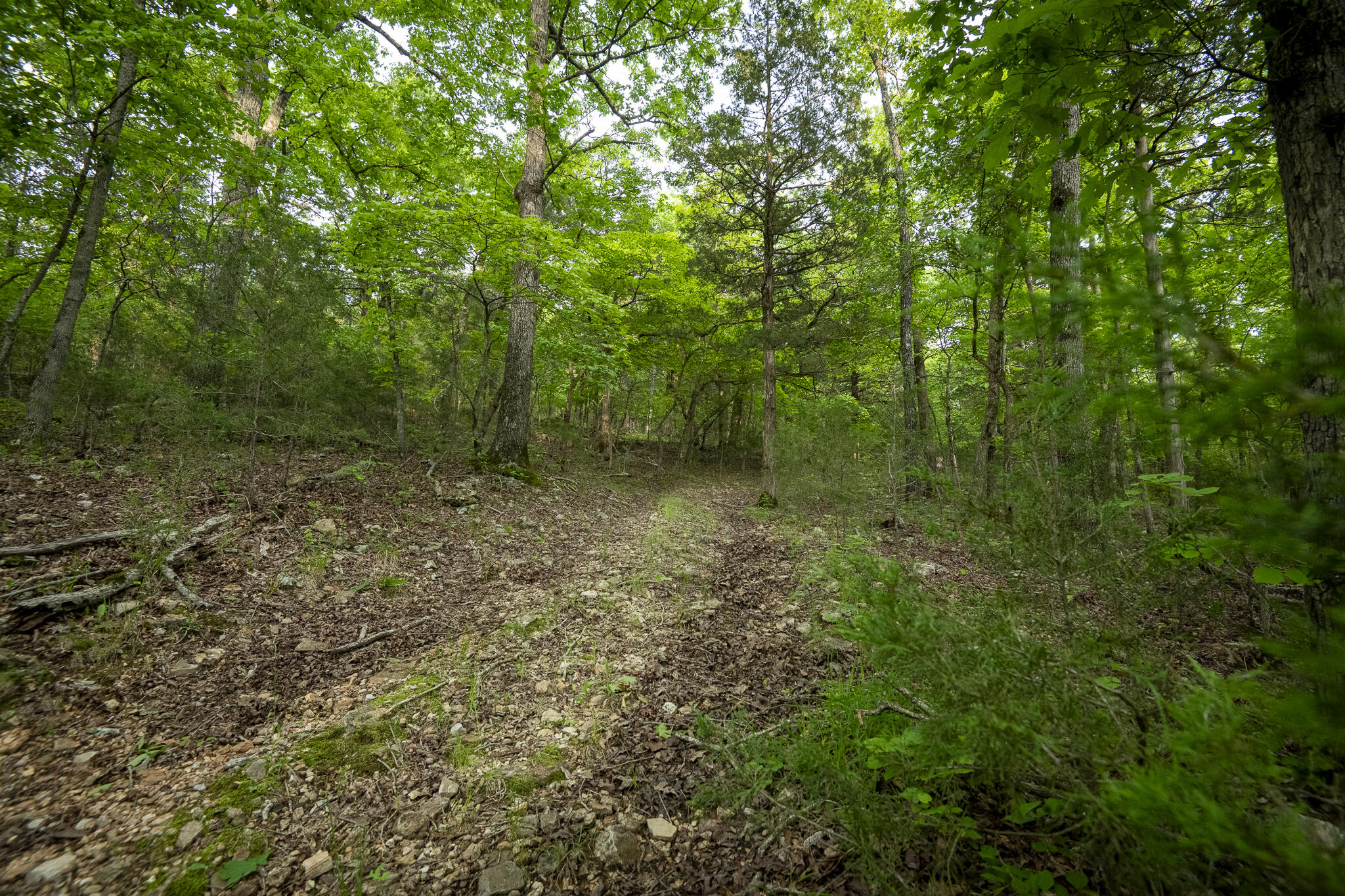 651 / Tbd Round Robin Lane Property Photo 90
