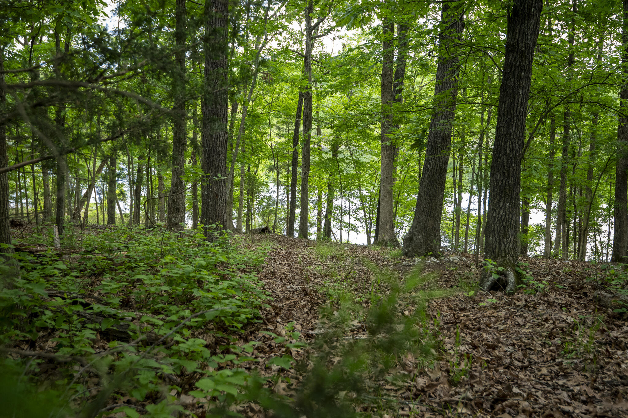 651 / Tbd Round Robin Lane Property Photo 92