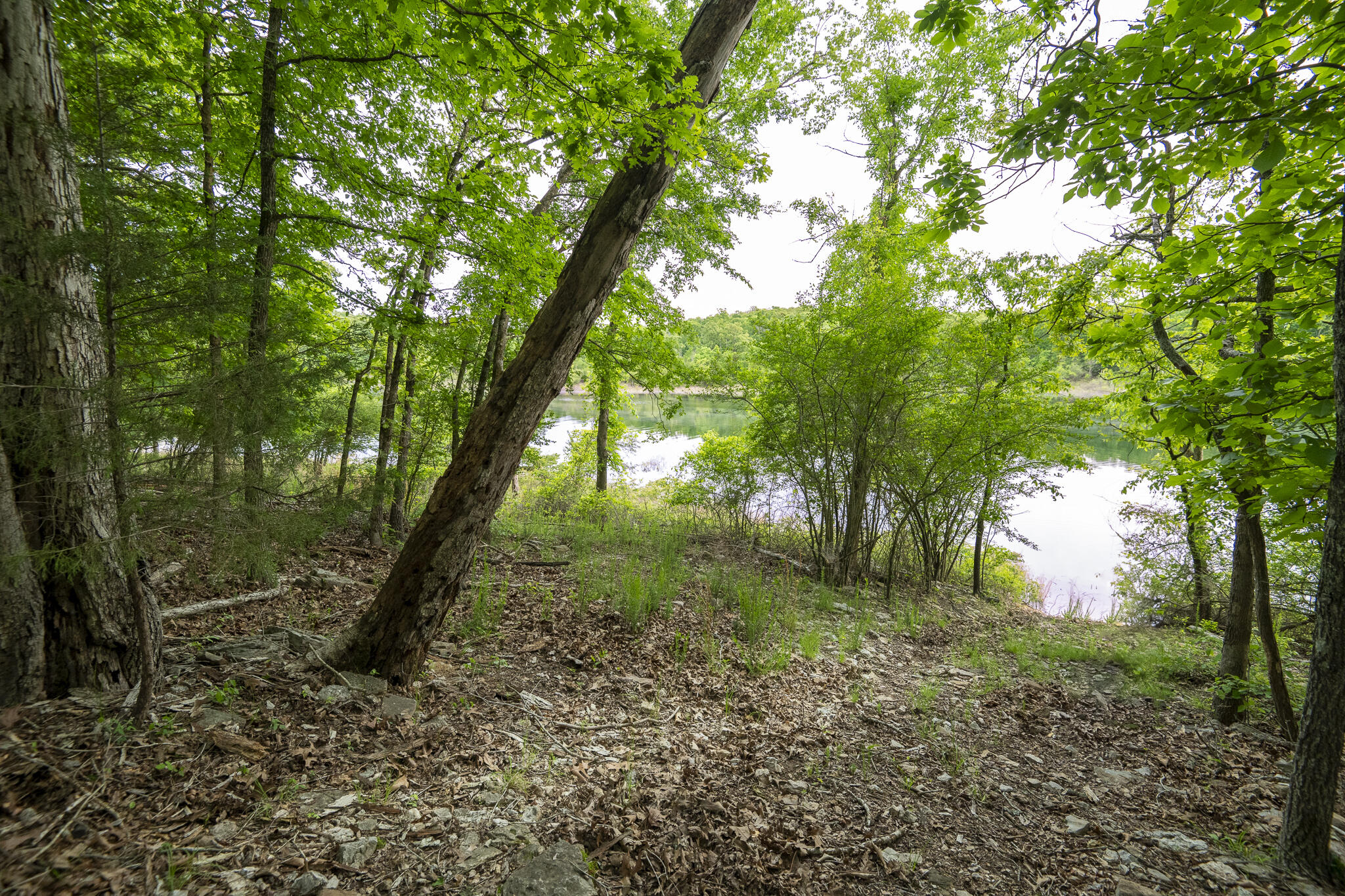 651 / Tbd Round Robin Lane Property Photo 94