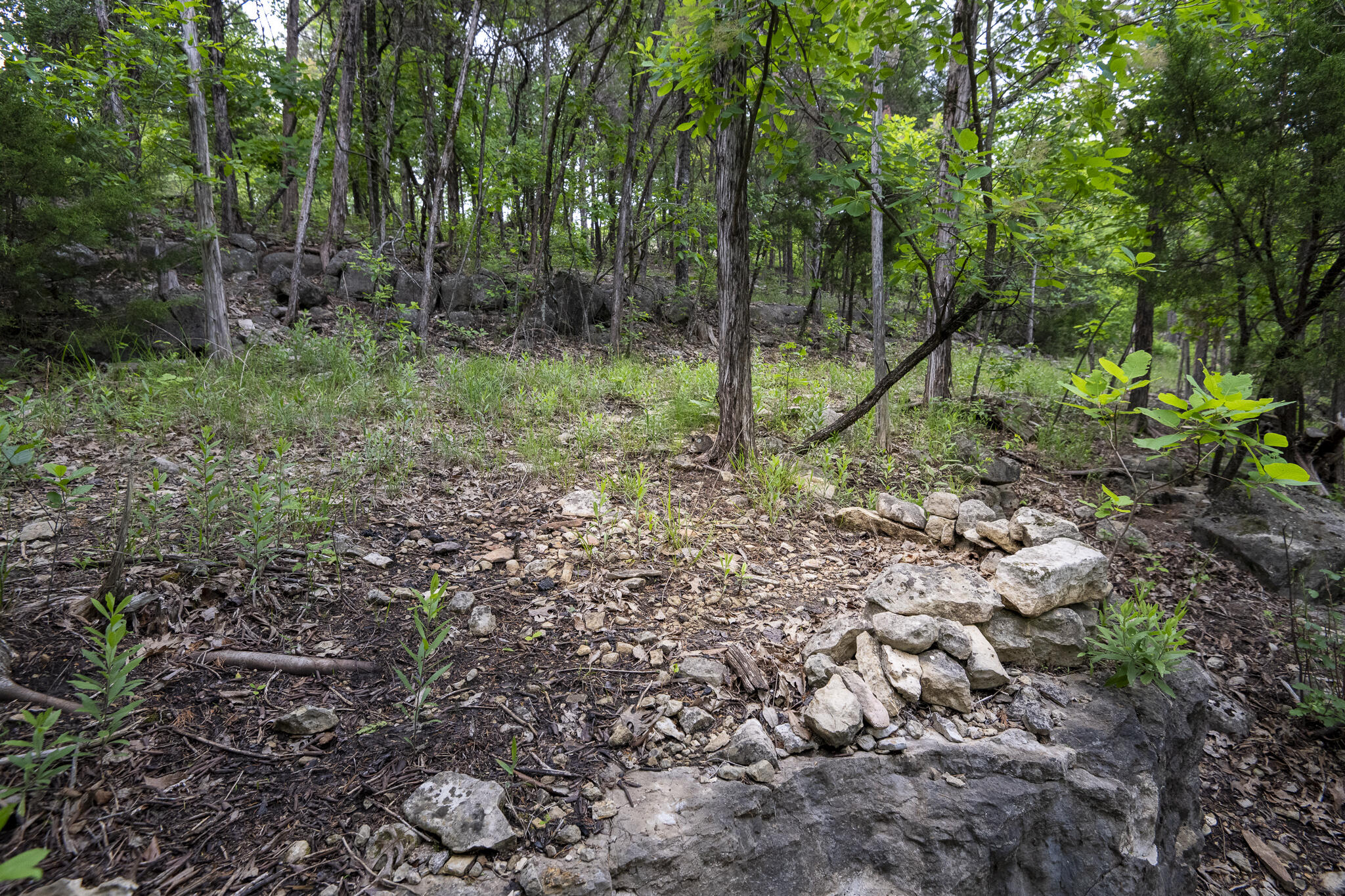 651 / Tbd Round Robin Lane Property Photo 101