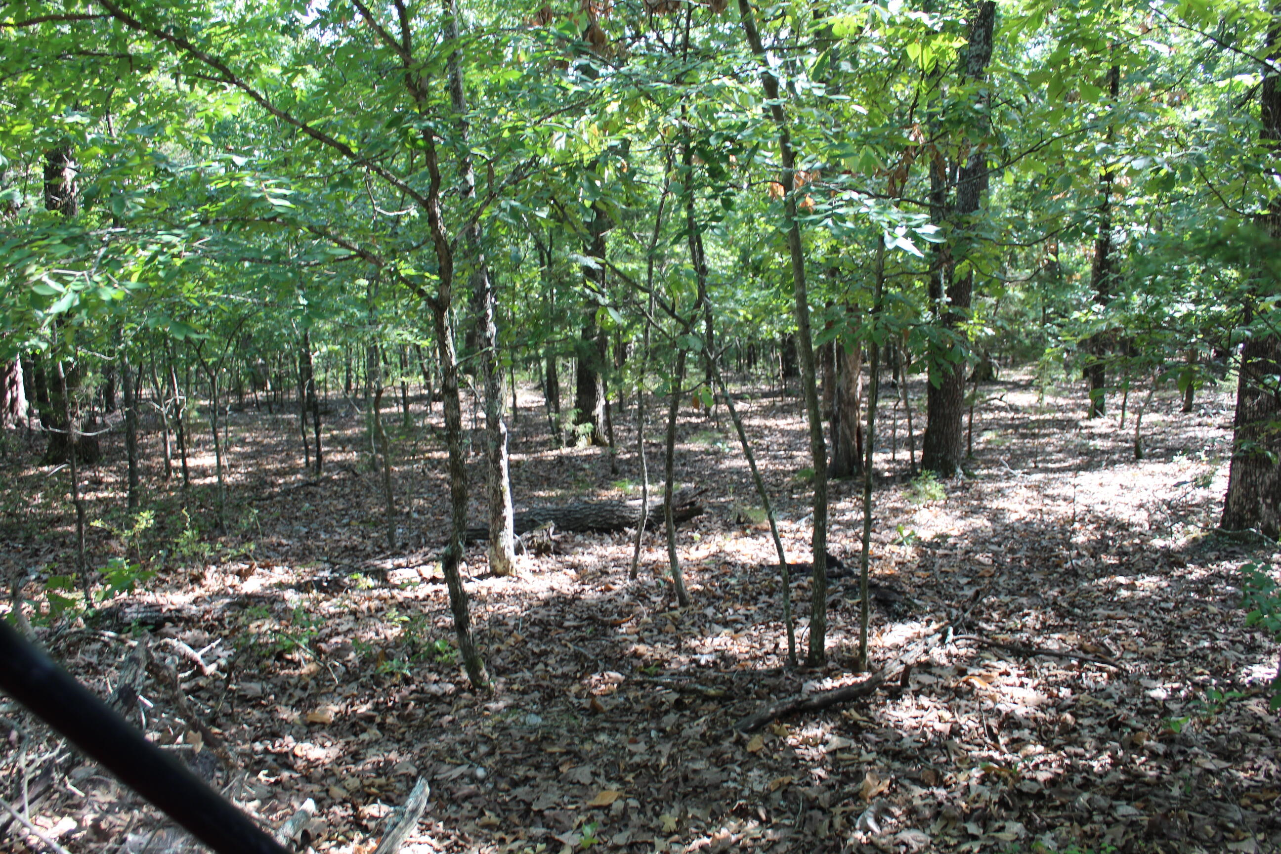 000 Lakeshore Road Property Photo 1