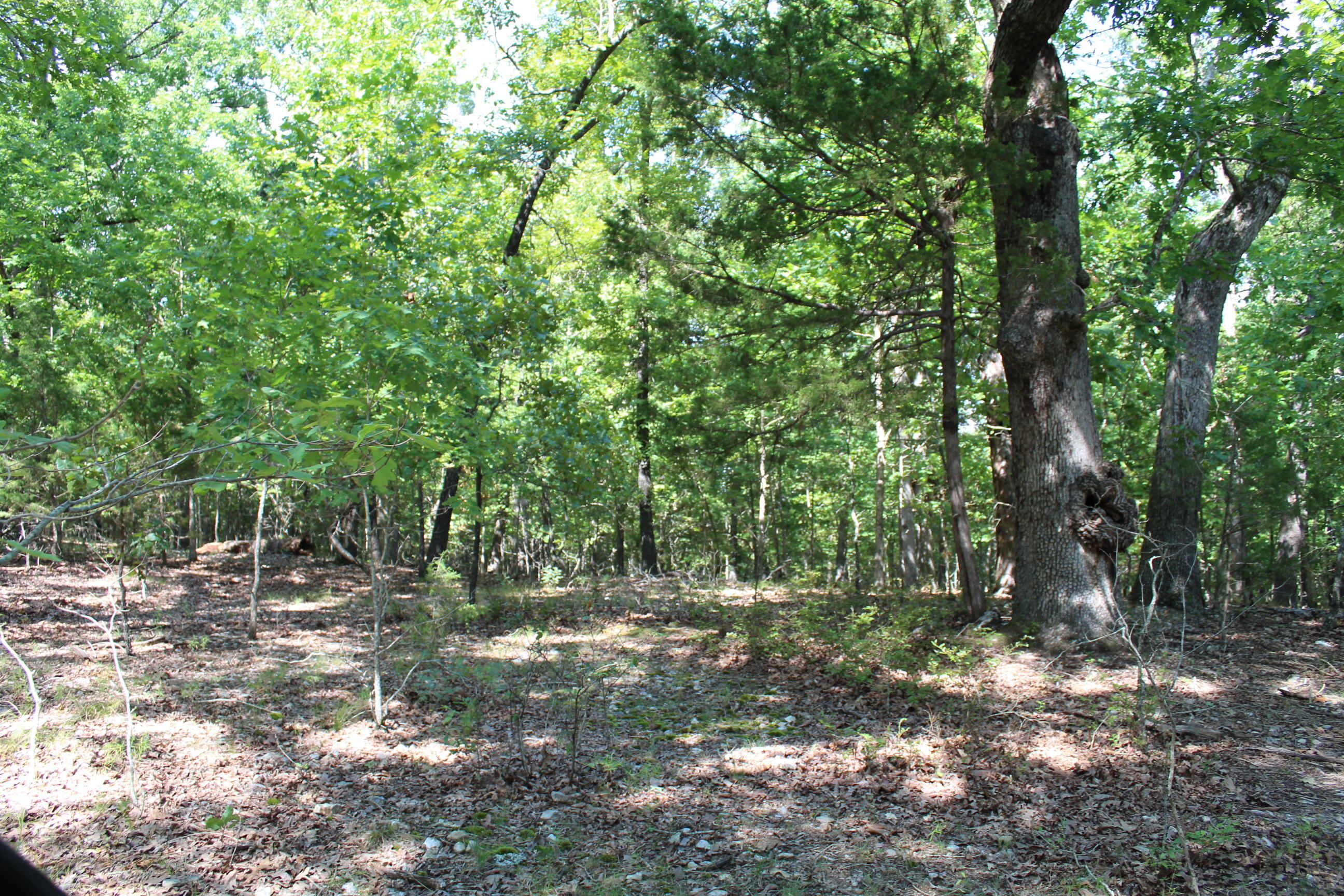 000 Lakeshore Road Property Photo 1
