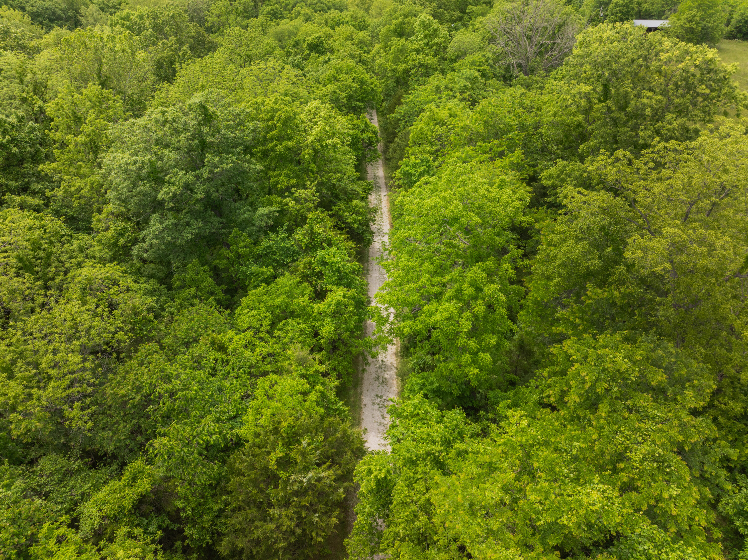 623 State Road K Property Photo 8
