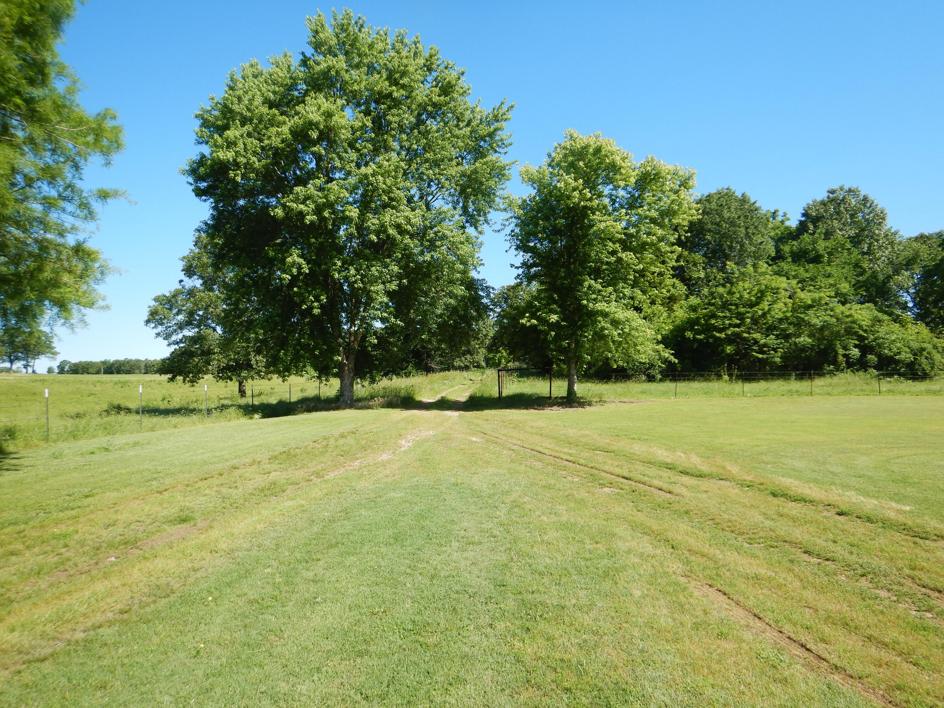 912 Bachman Road Property Photo 53