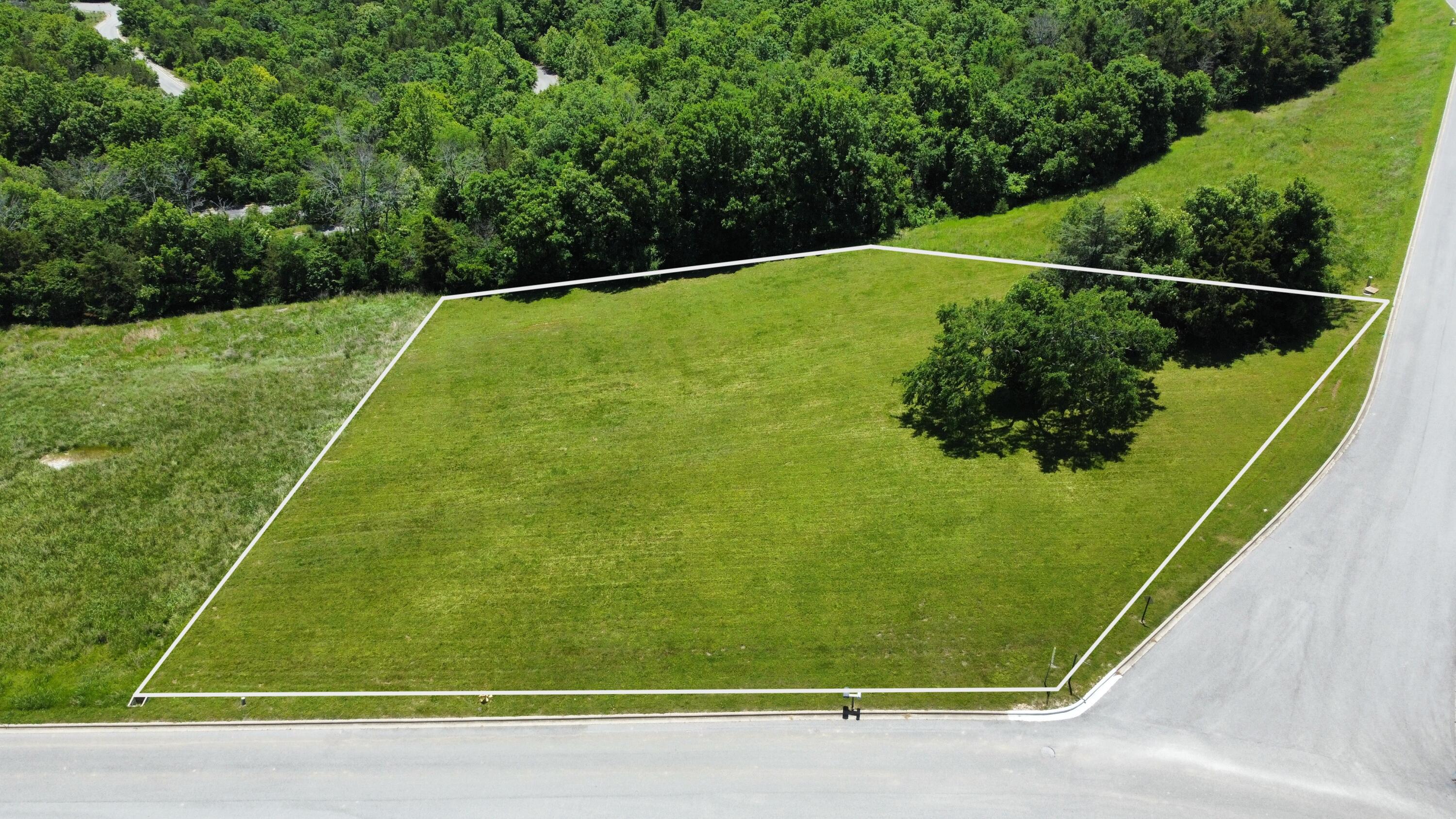 000 Emerald Pointe Drive Lot 243 Property Photo 2