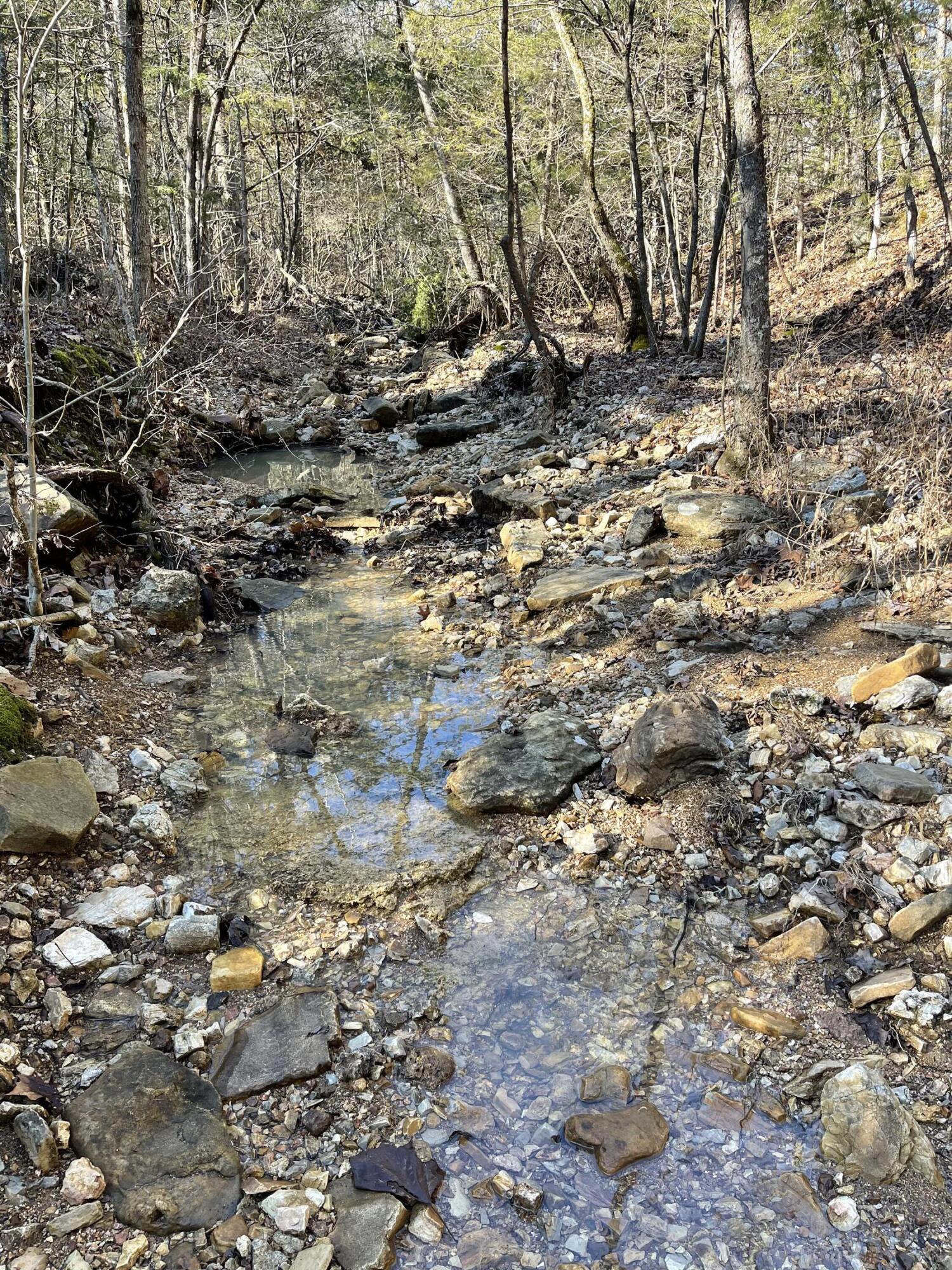 000 Us Hwy 160 Property Photo 2